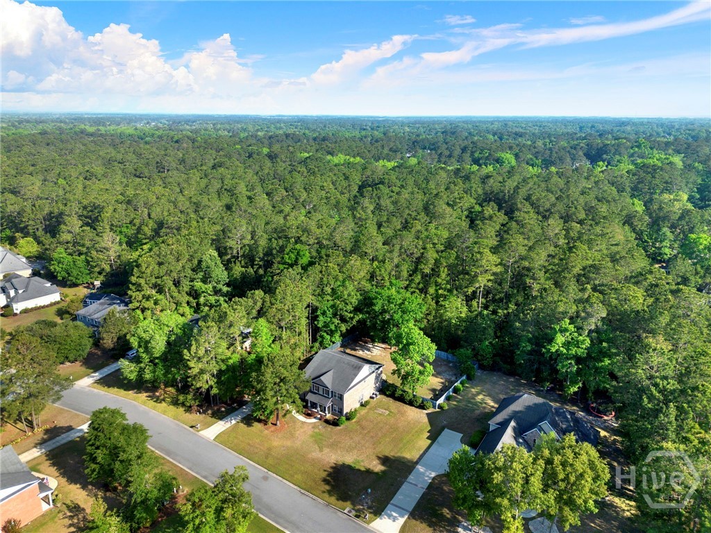 525 Dalcross Drive, Richmond Hill, GA 31324 Listing Photo  41
