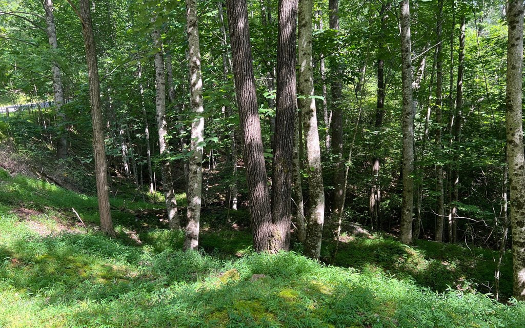 Exterior photo of Lot 40 Double Knobs, Hayesville, NC 28904. MLS: 98543996
