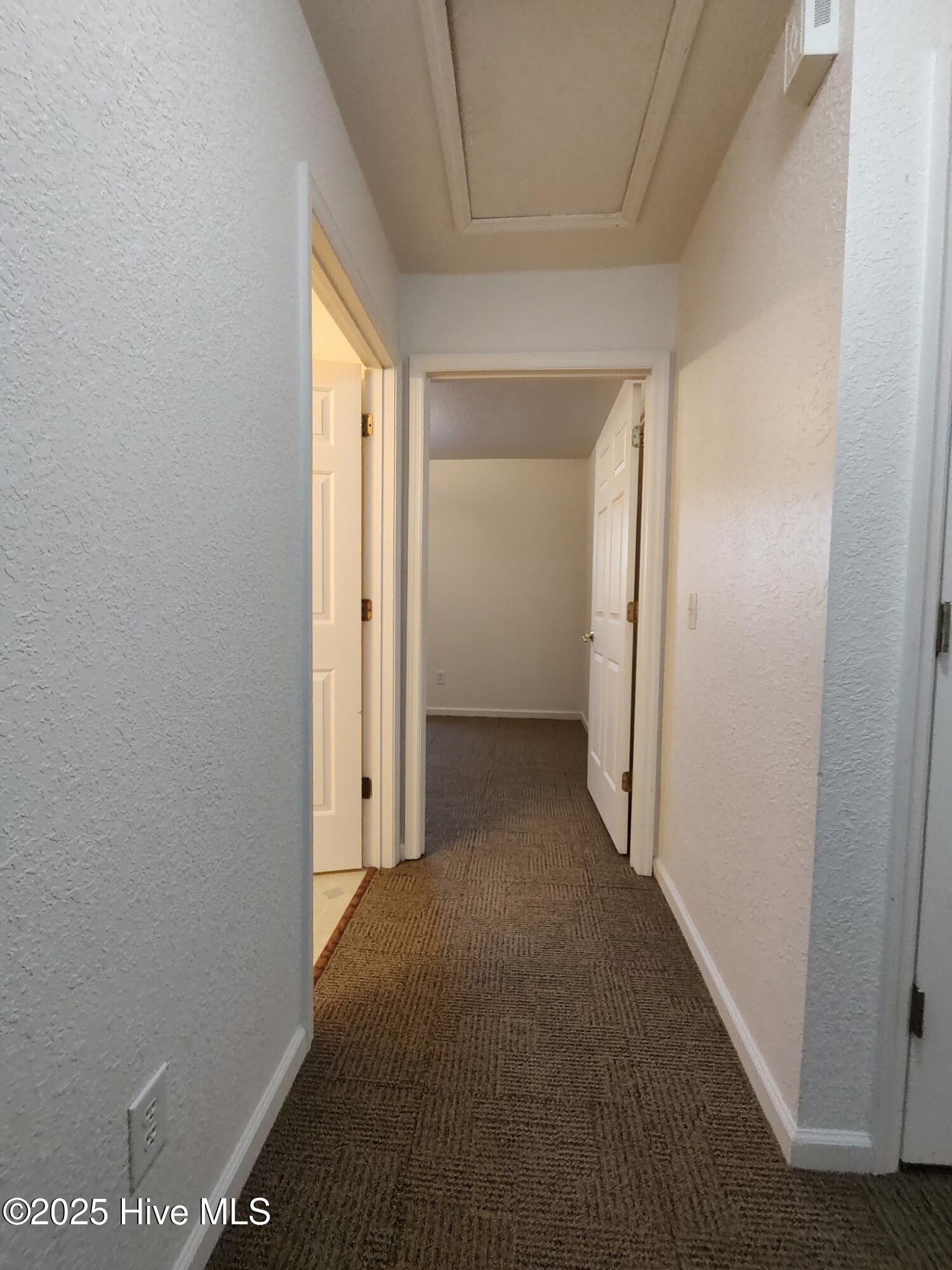 100546478 | Photo 10