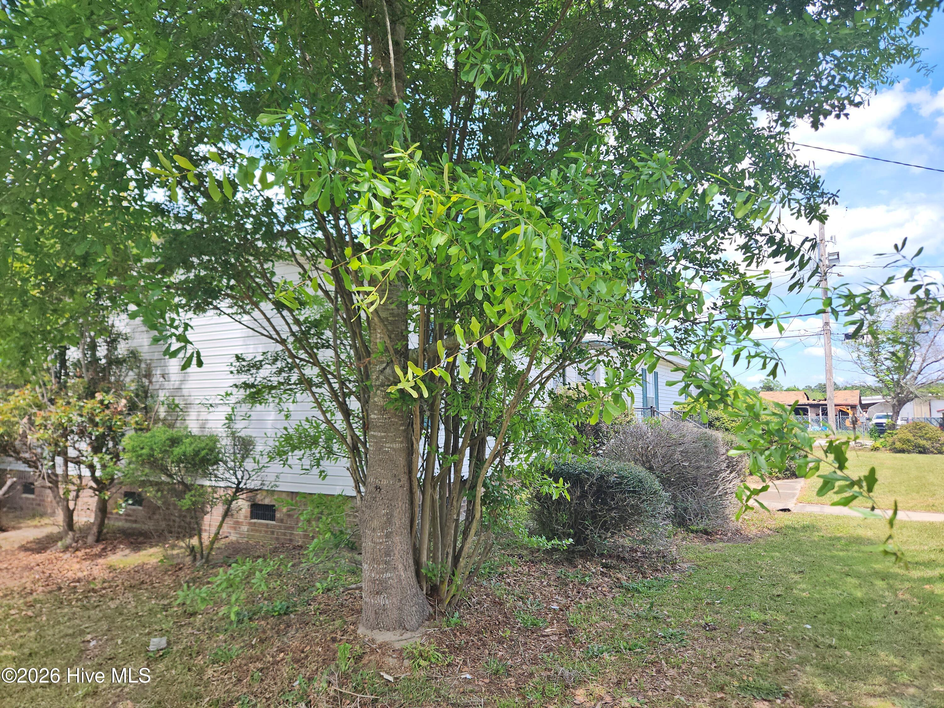 100566960 | Photo 30