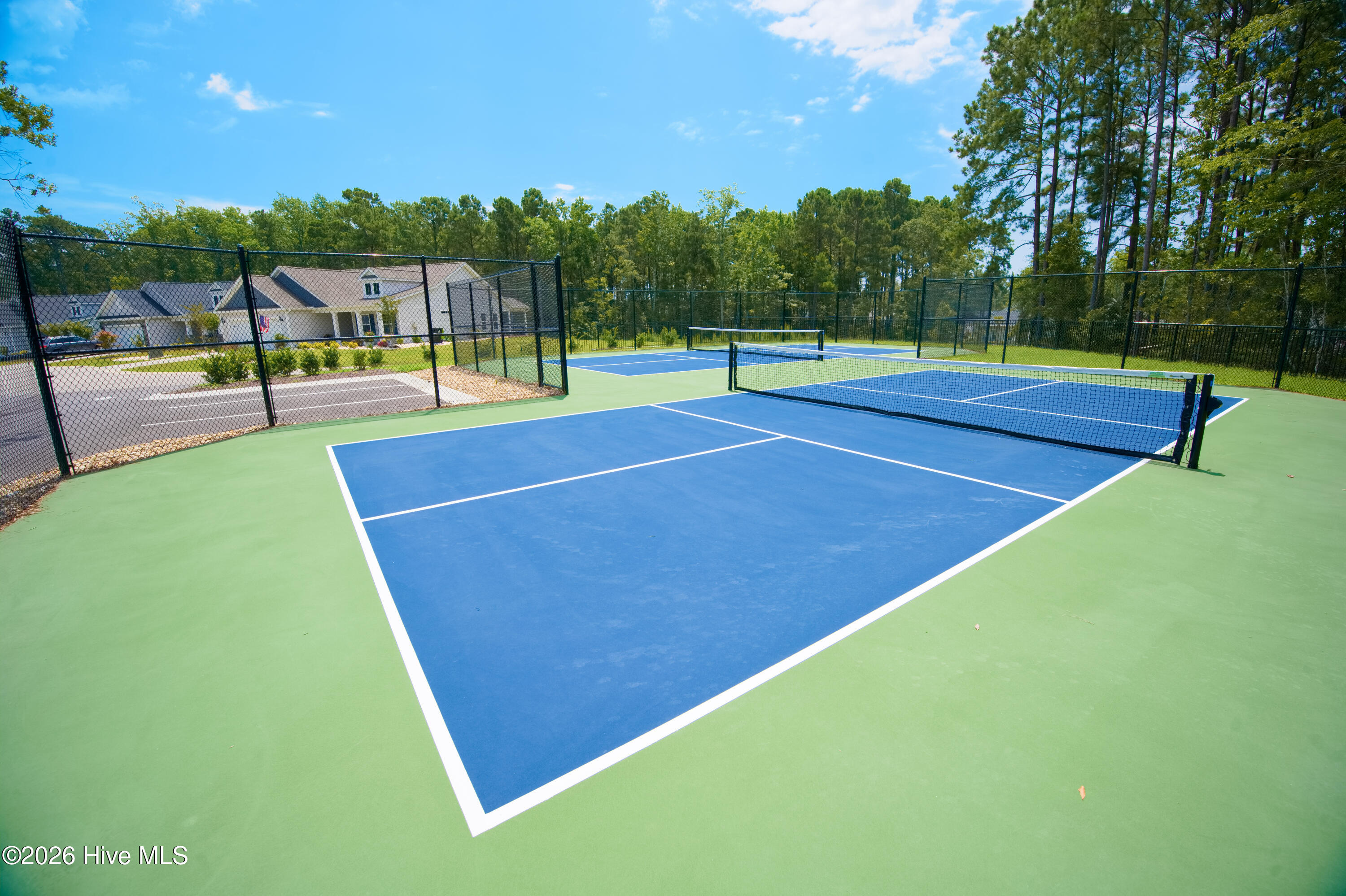 100559386 | Photo 61