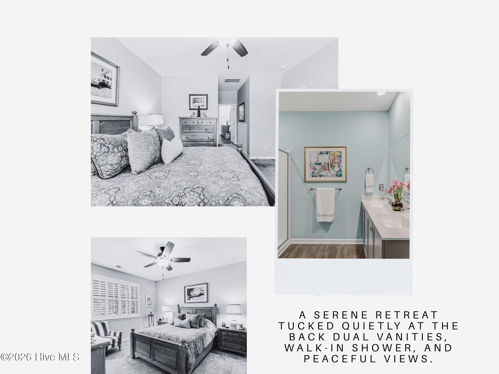 100537836 | Photo 26