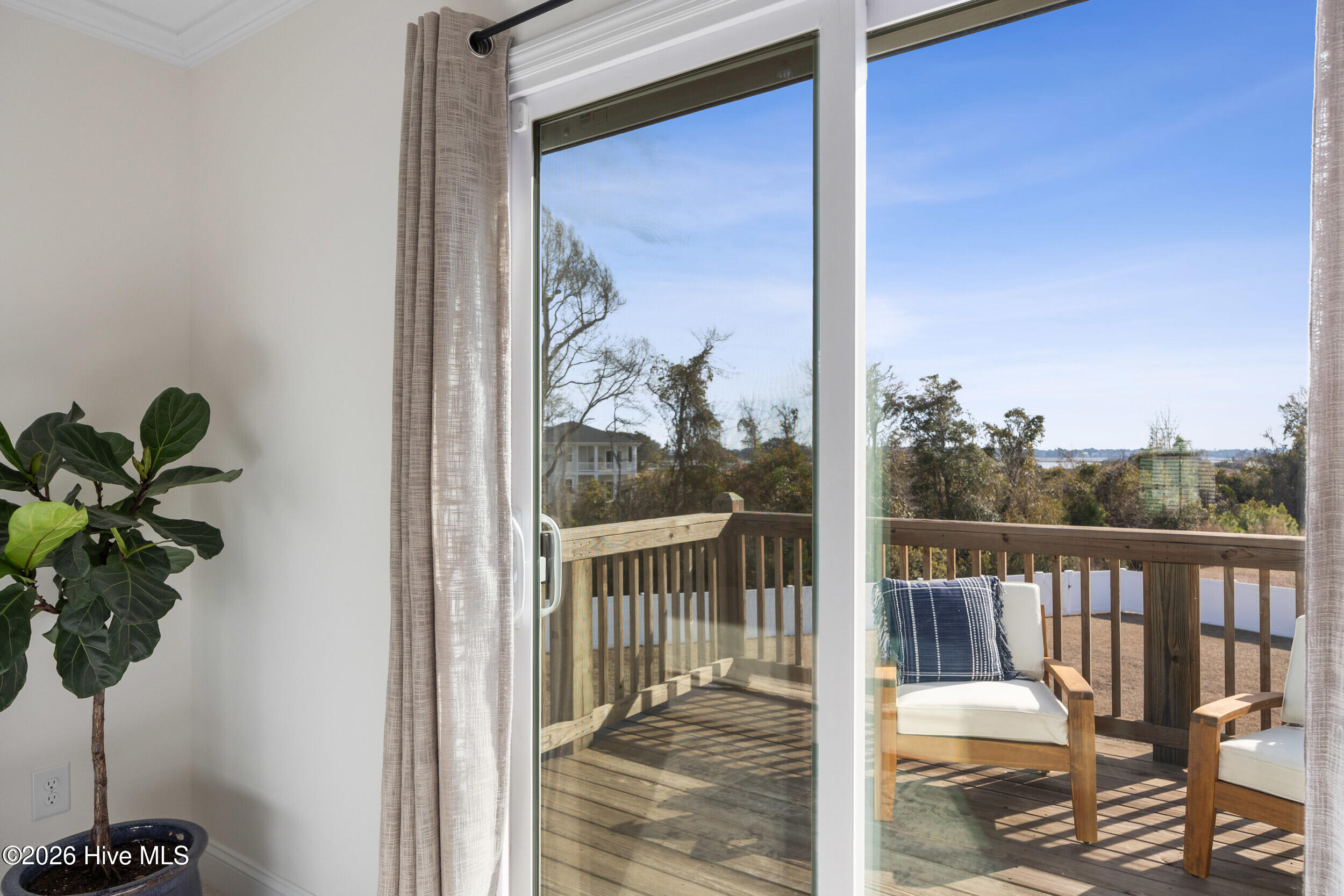 100555397 | Photo 39