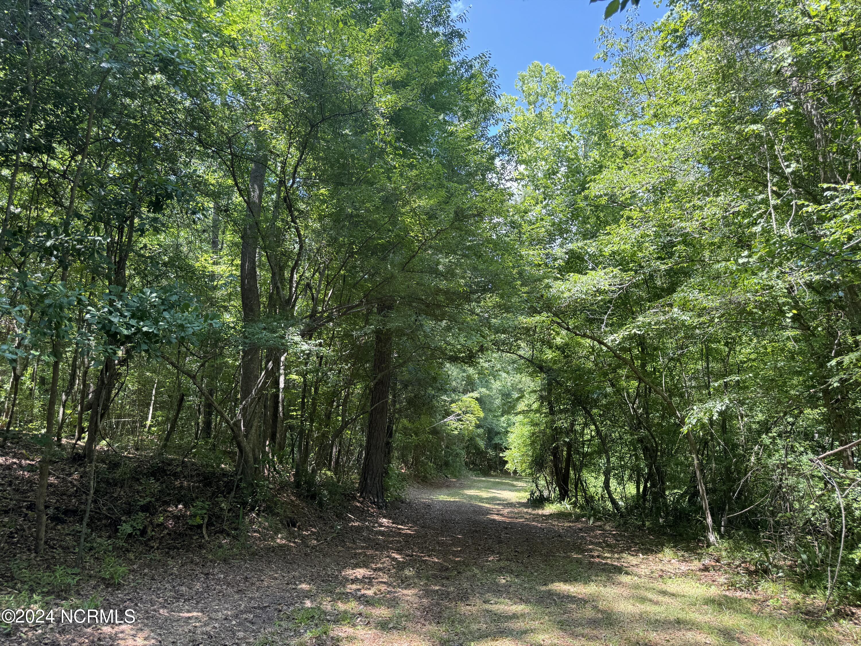 100524408 | Photo 39