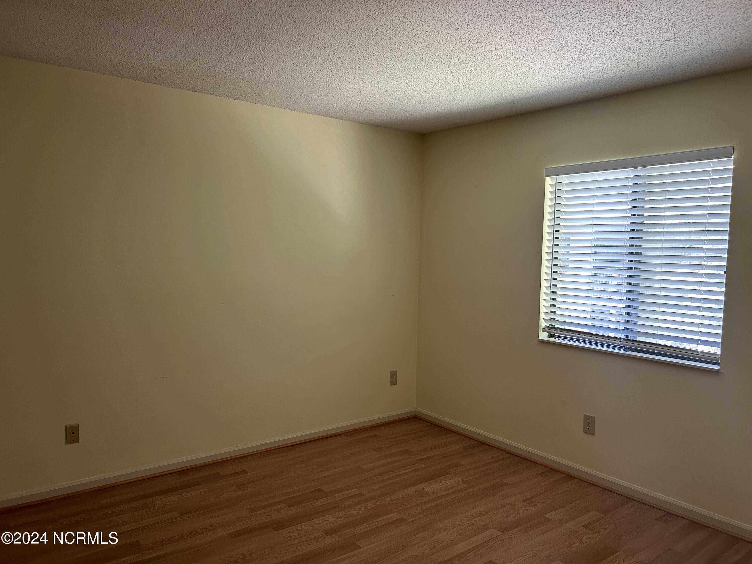 100562197 | Photo 13