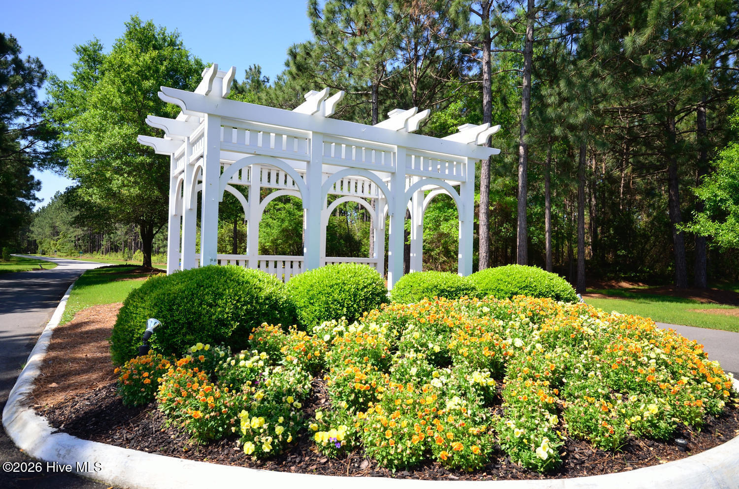 100556413 | Photo 62