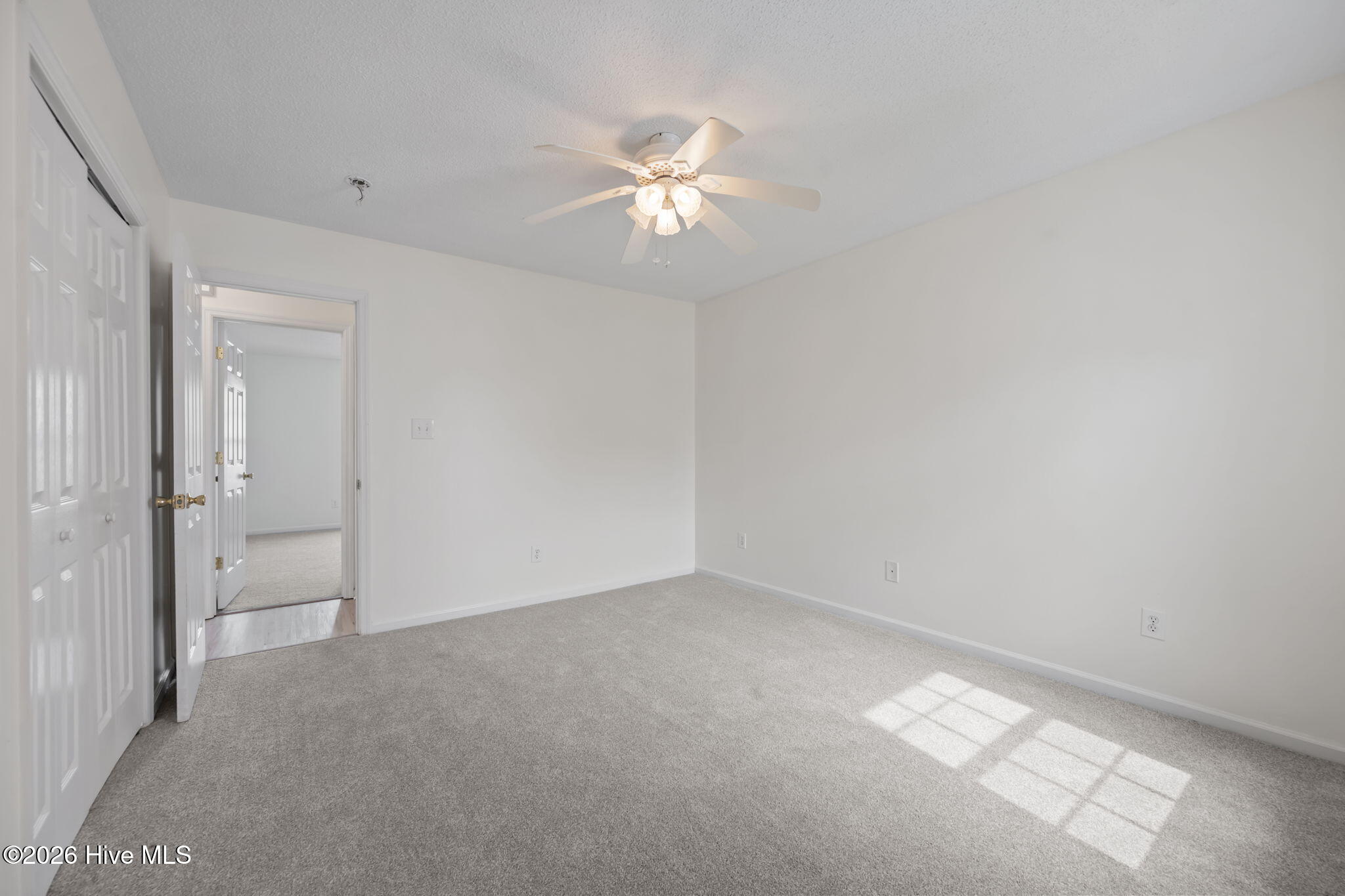 100562645 | Photo 18