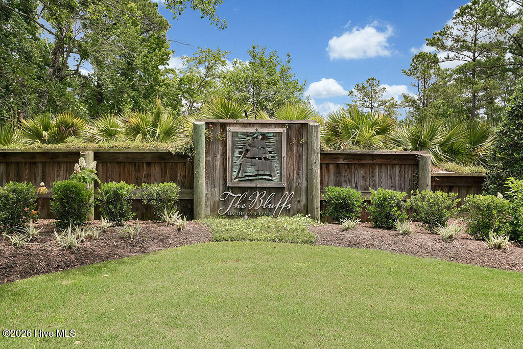 100564545 | Photo 89