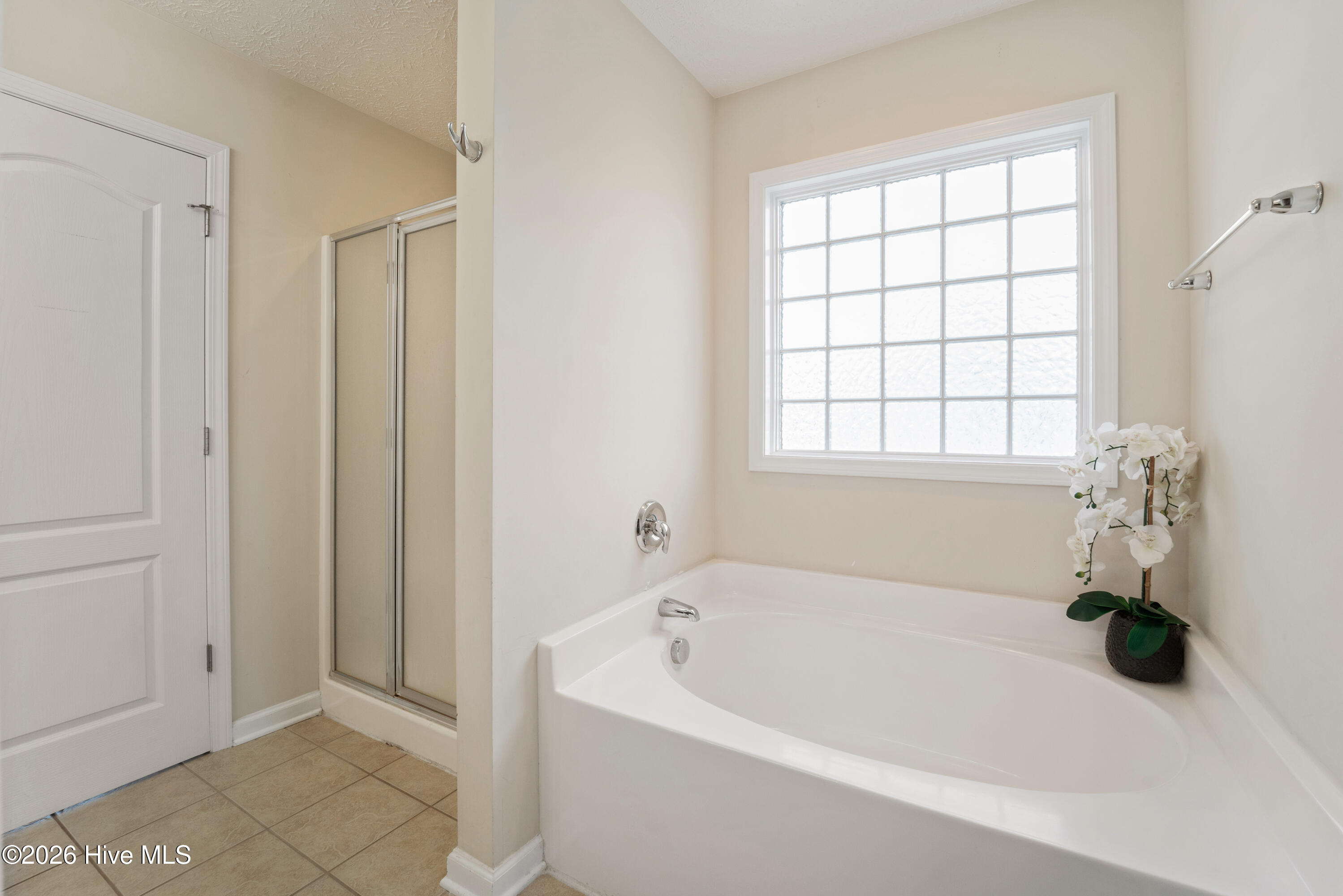 100552593 | Photo 17