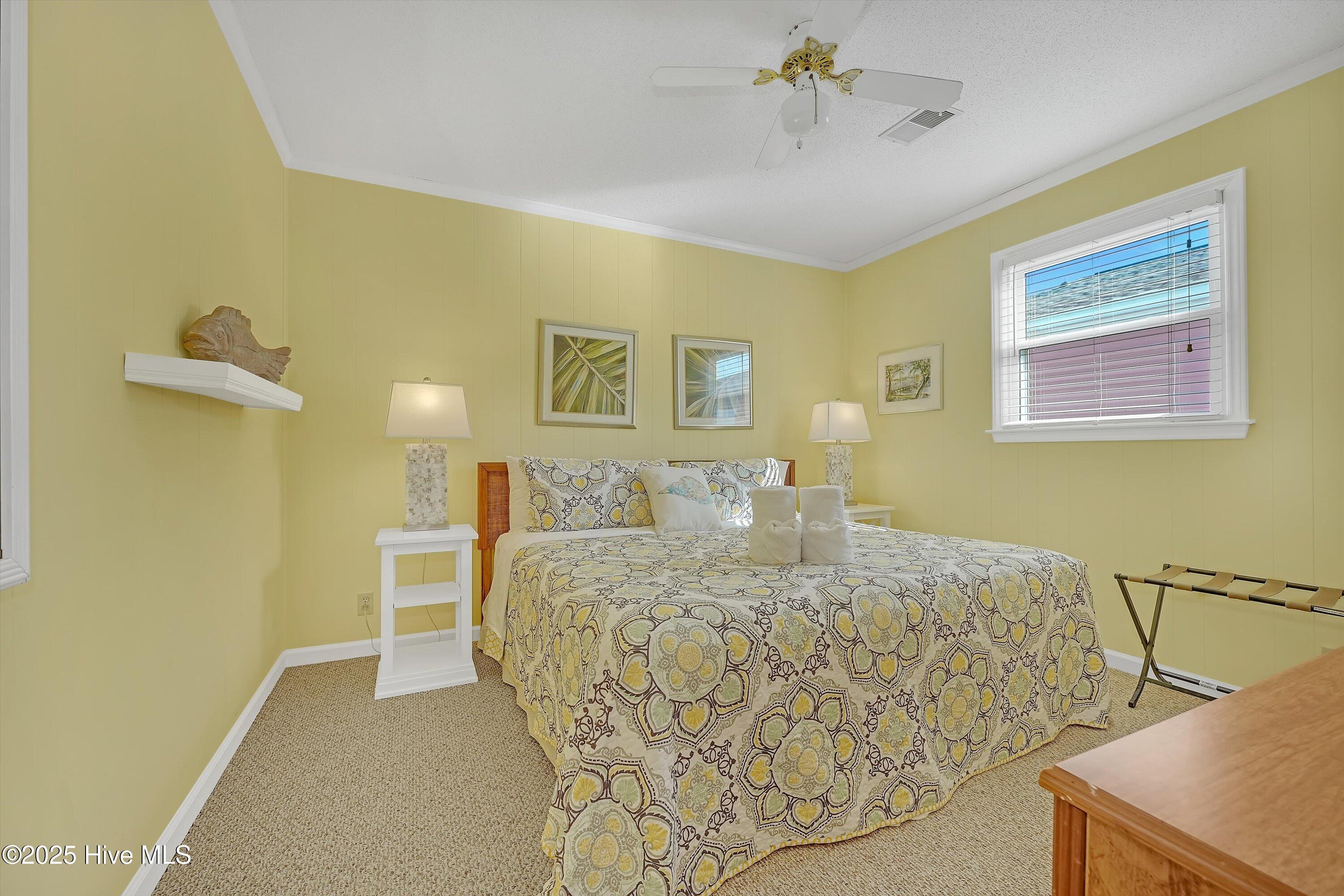 100500526 | Photo 19