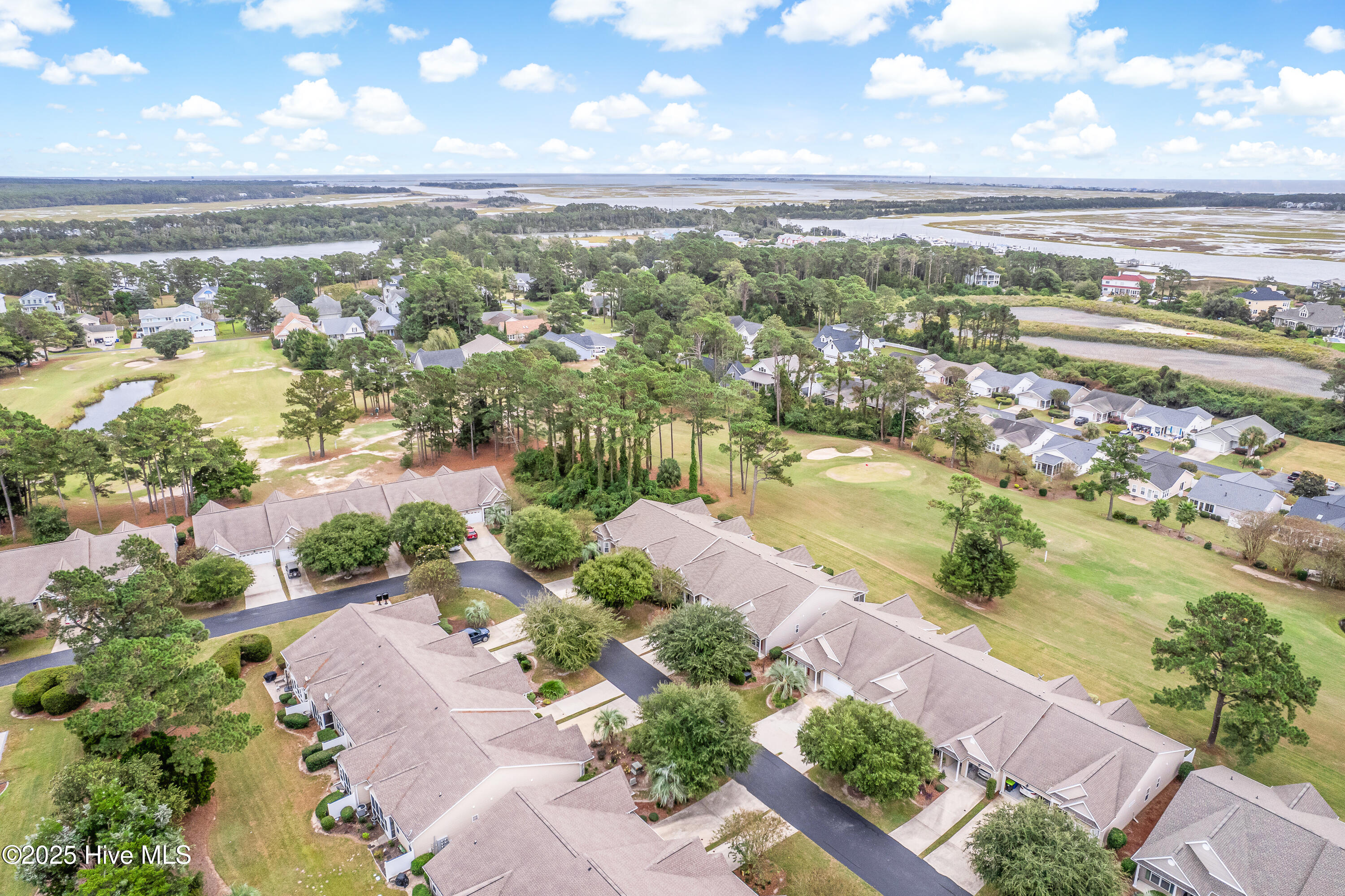 100537164 | Photo 38