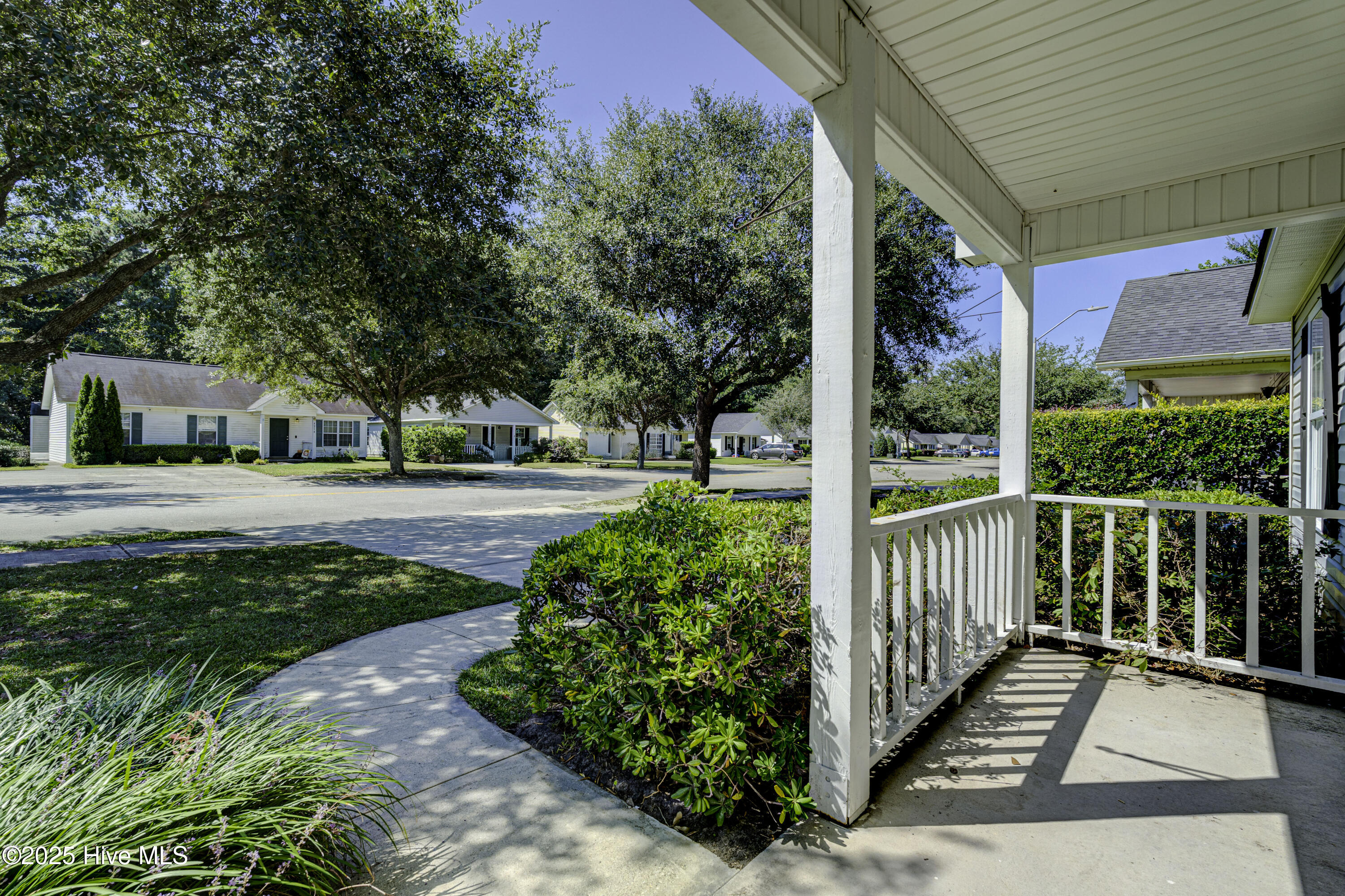 100531286 | Photo 10