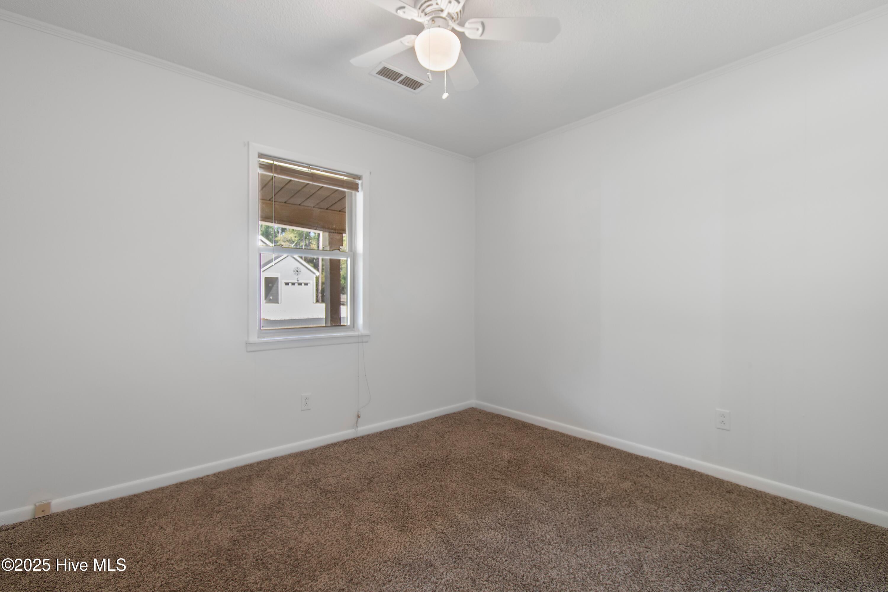 100542544 | Photo 16