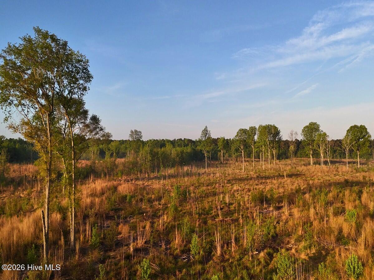 0 Durwood Evans Road, Beulaville, NC, 28518