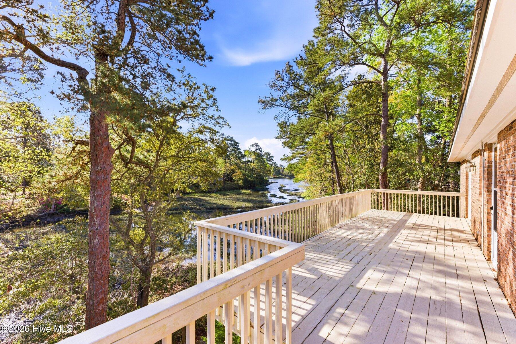 100564189 | Photo 11