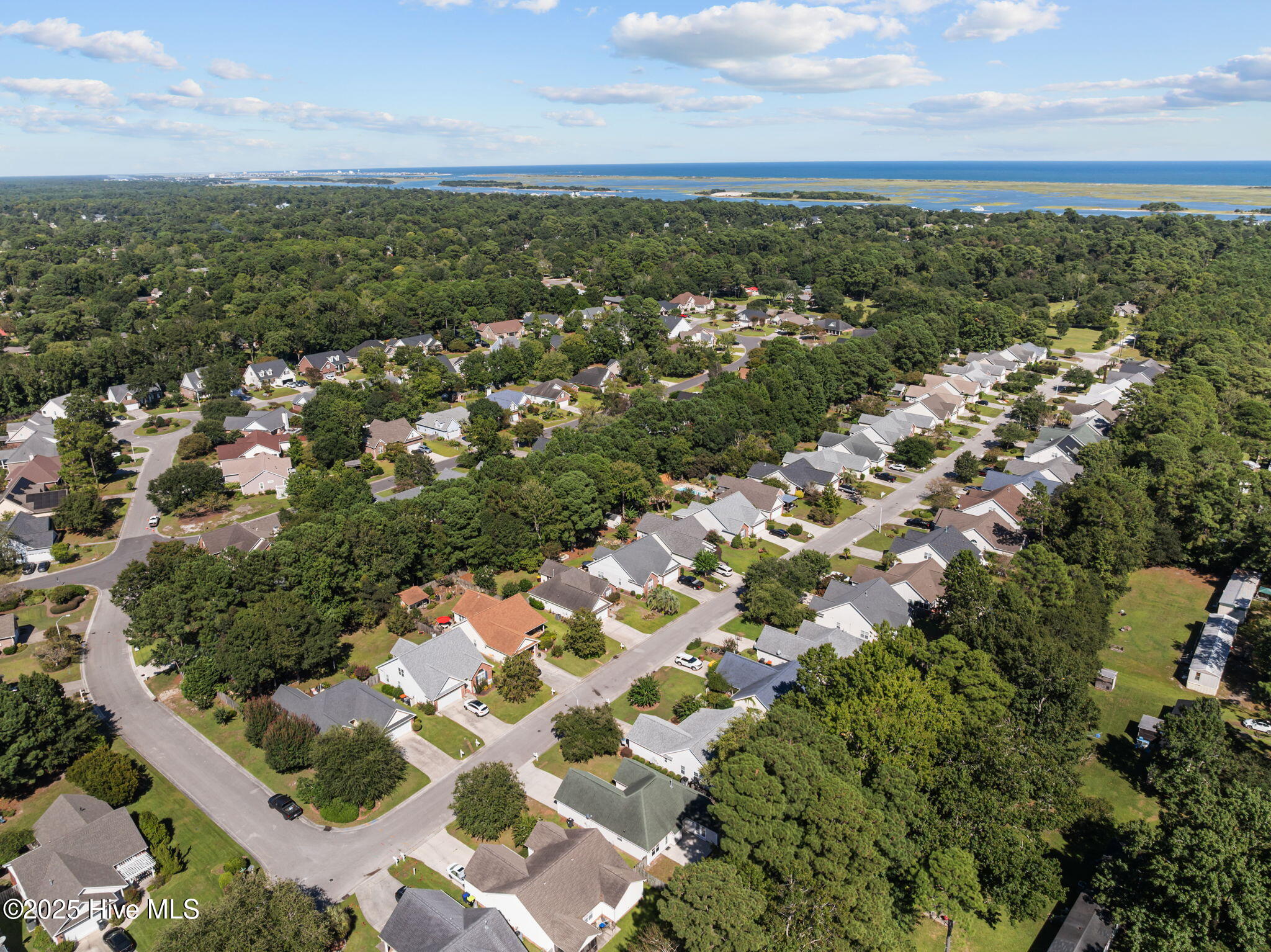 100529967 | Photo 46