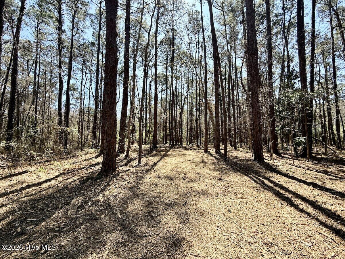 0 Lot 1 Creek Place Road,Arapahoe