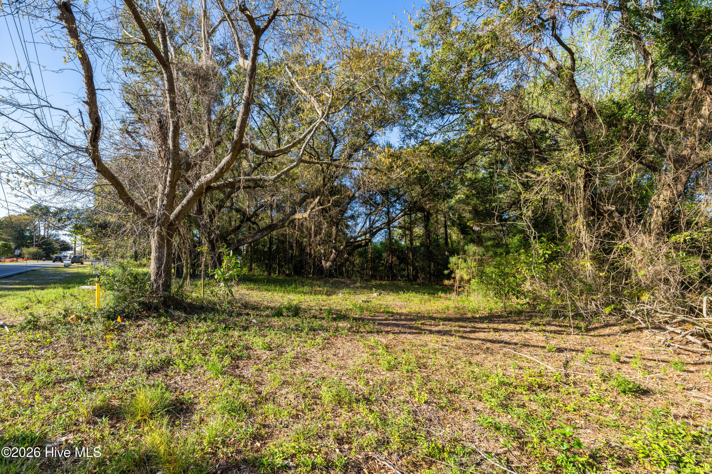 100565879 | Photo 17