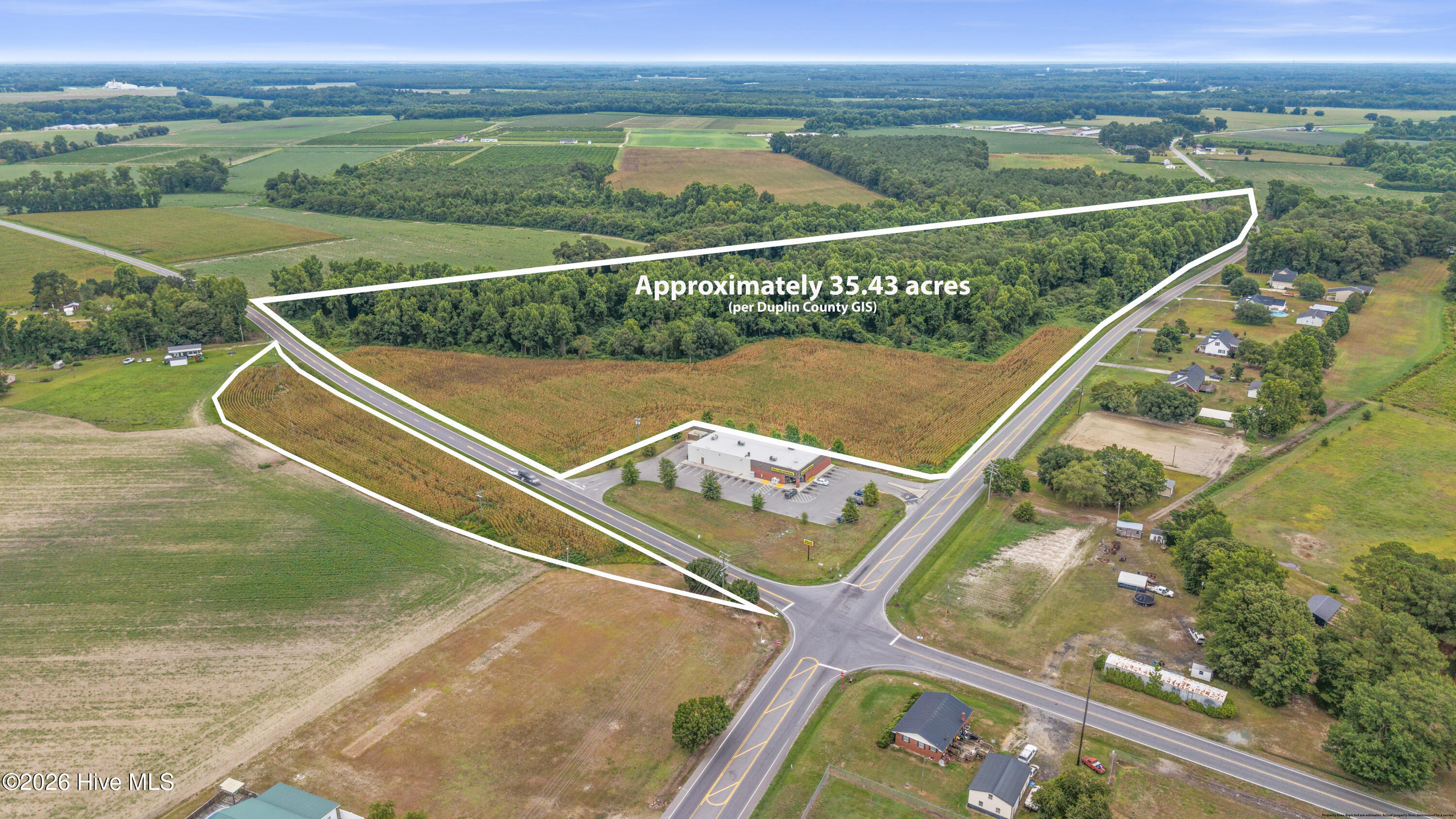 3rd image of Tbd Nc-403, Mount Olive, NC 28365 | MLS# 100597132
