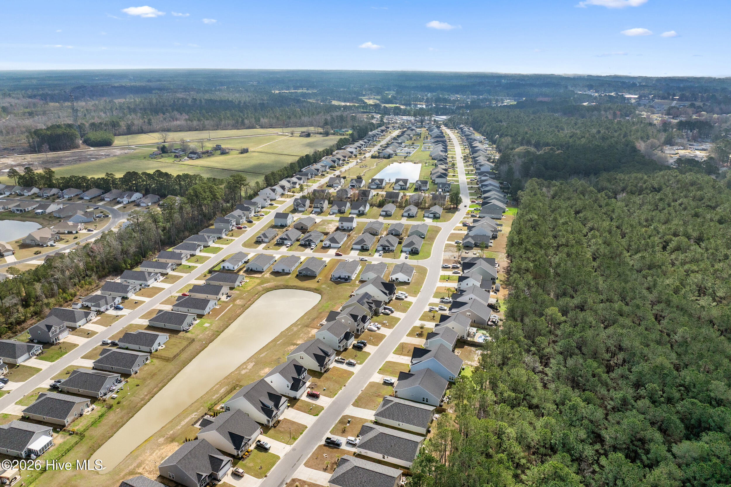 100559429 | Photo 35