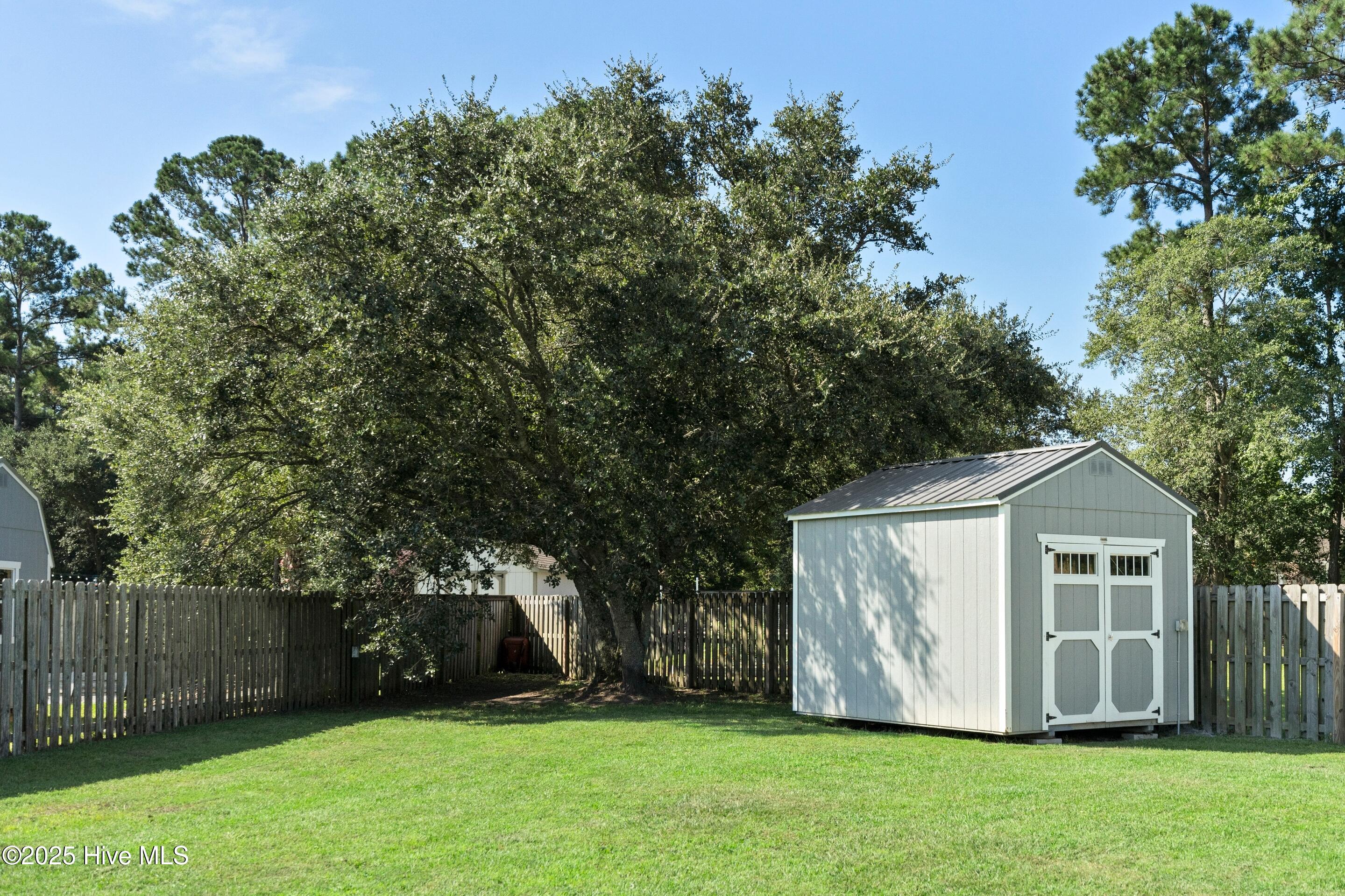 100527219 | Photo 52