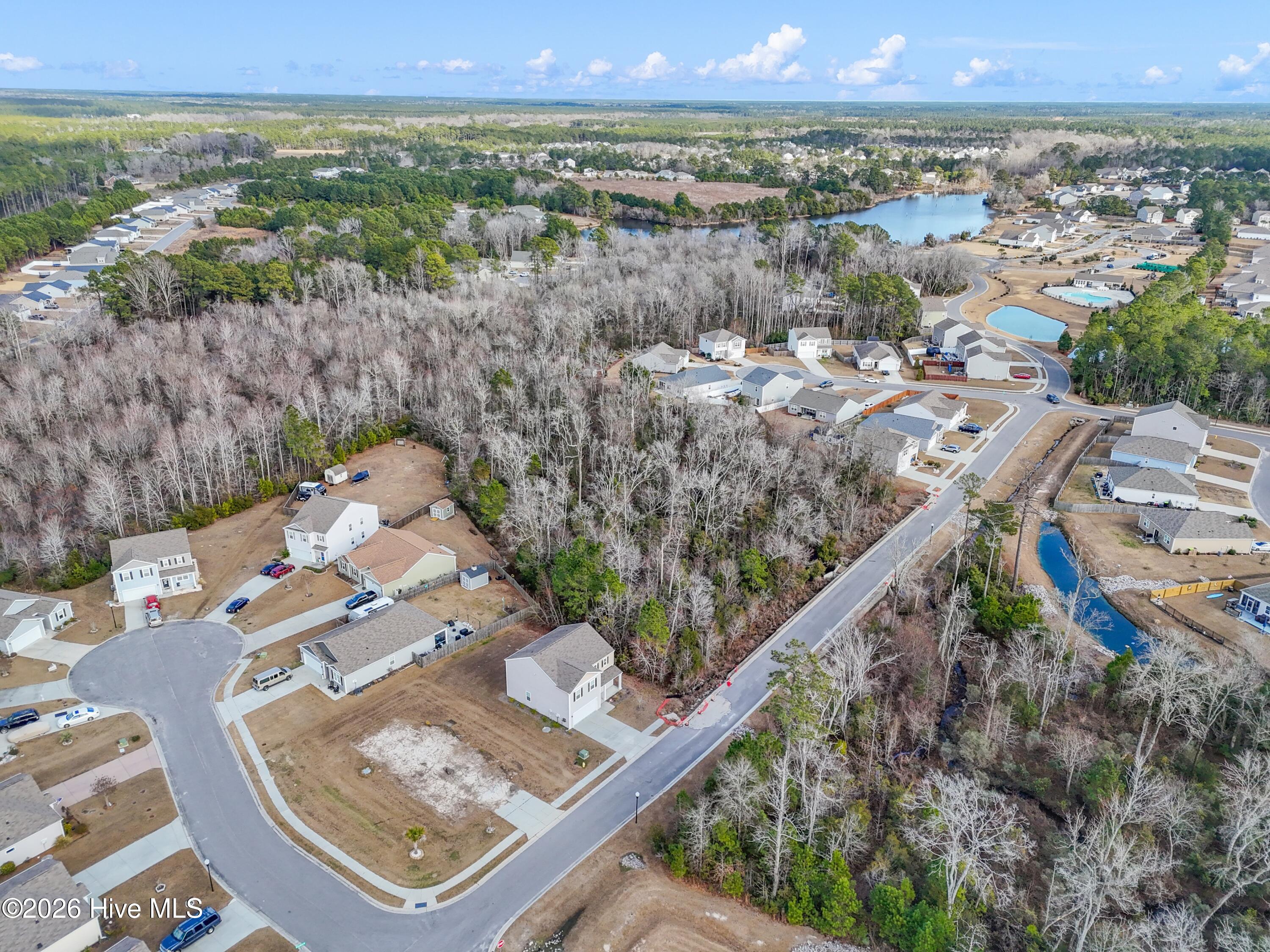 100551003 | Photo 19