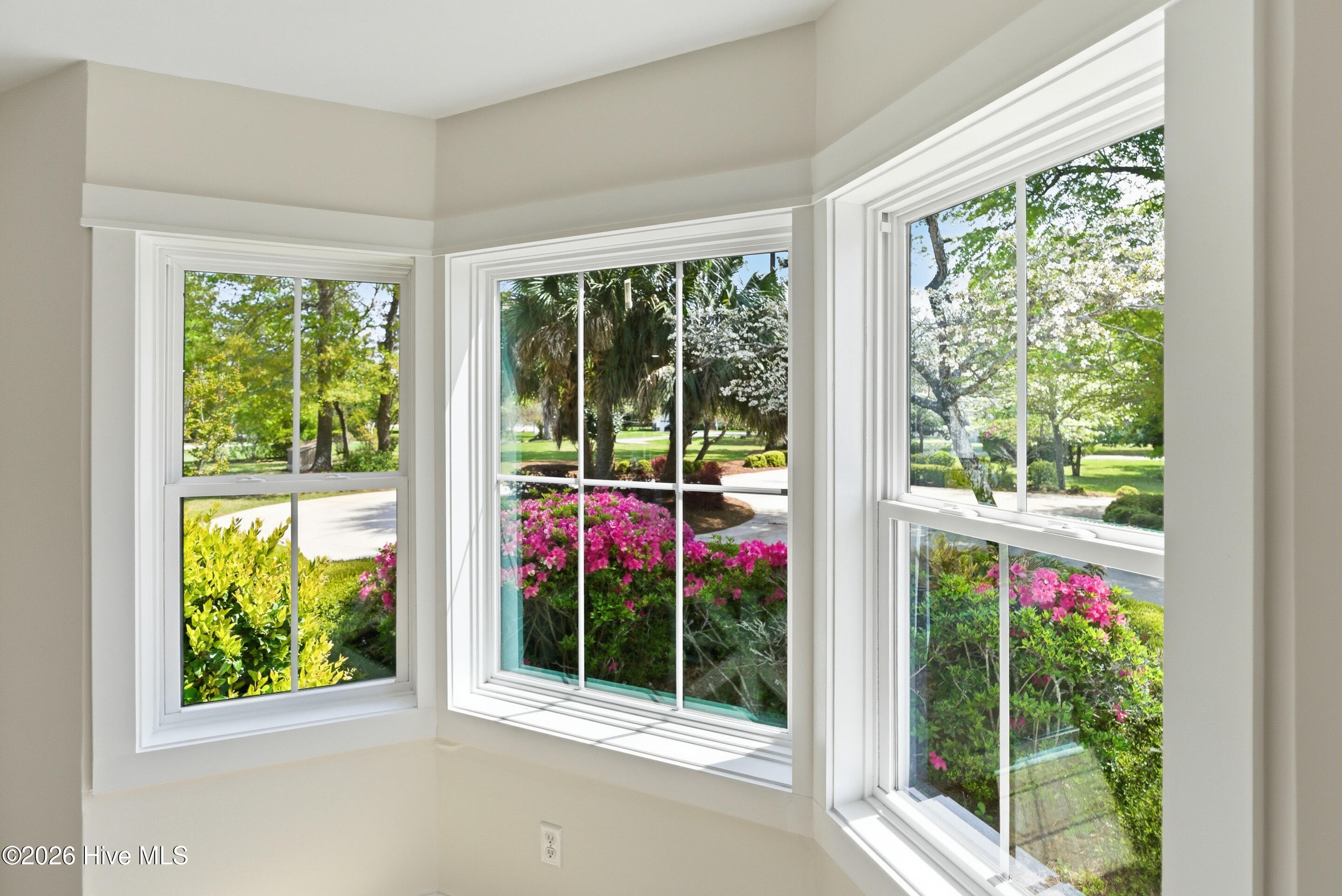 100556349 | Photo 17