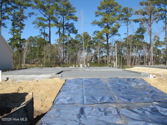 100552185 | Photo 12