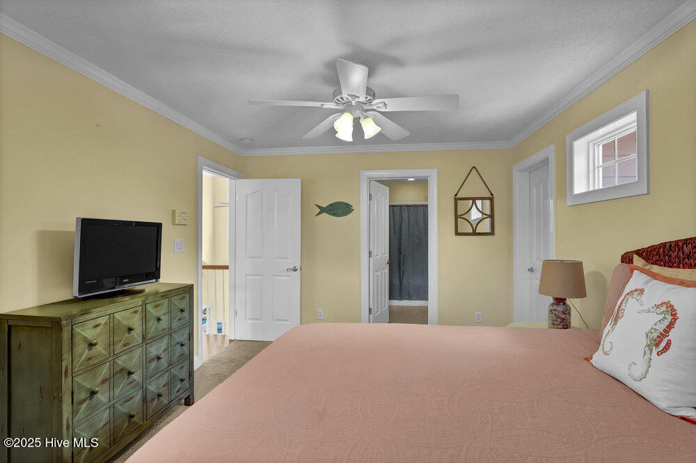 100513085 | Photo 35