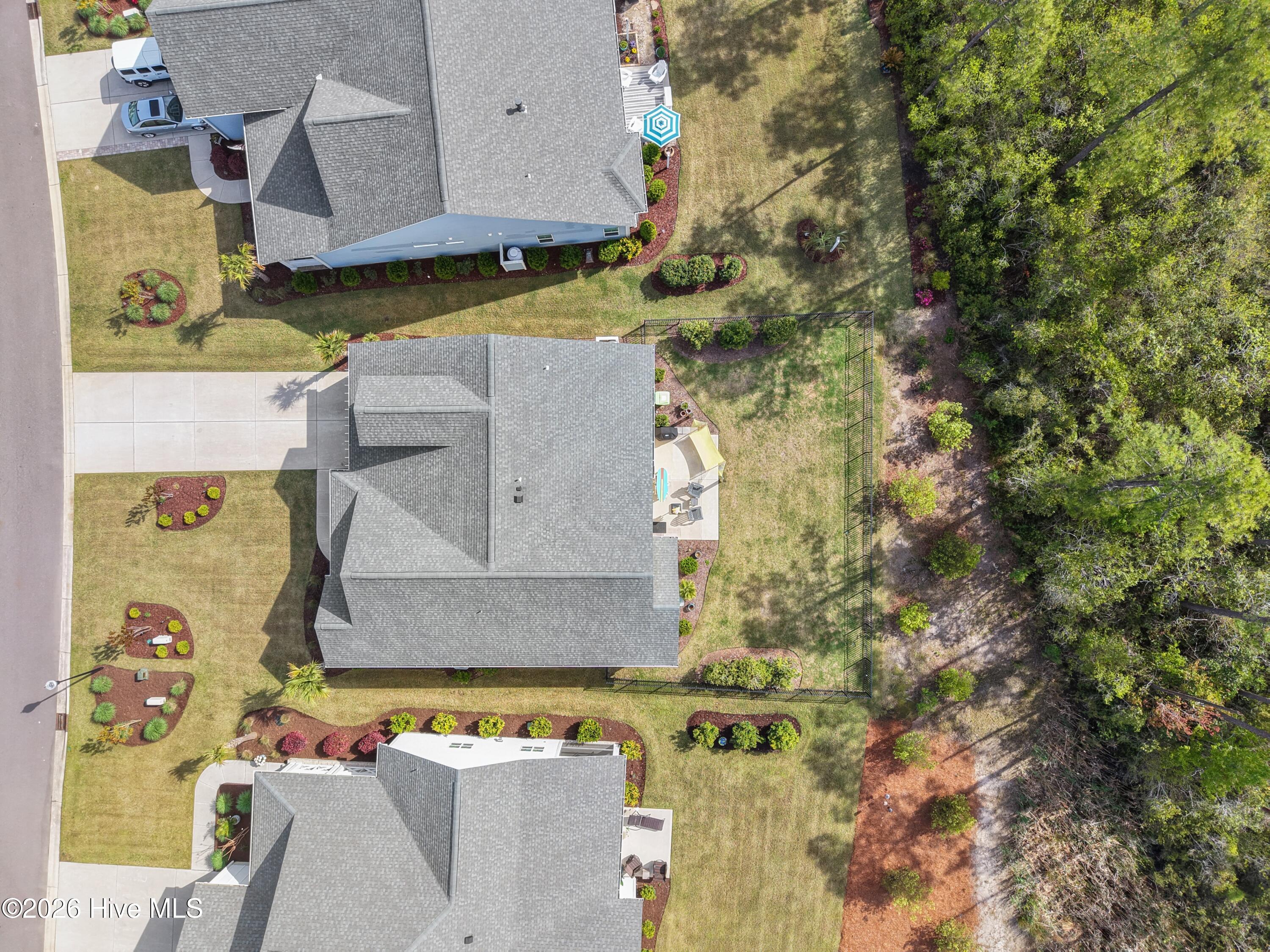 100566064 | Photo 44