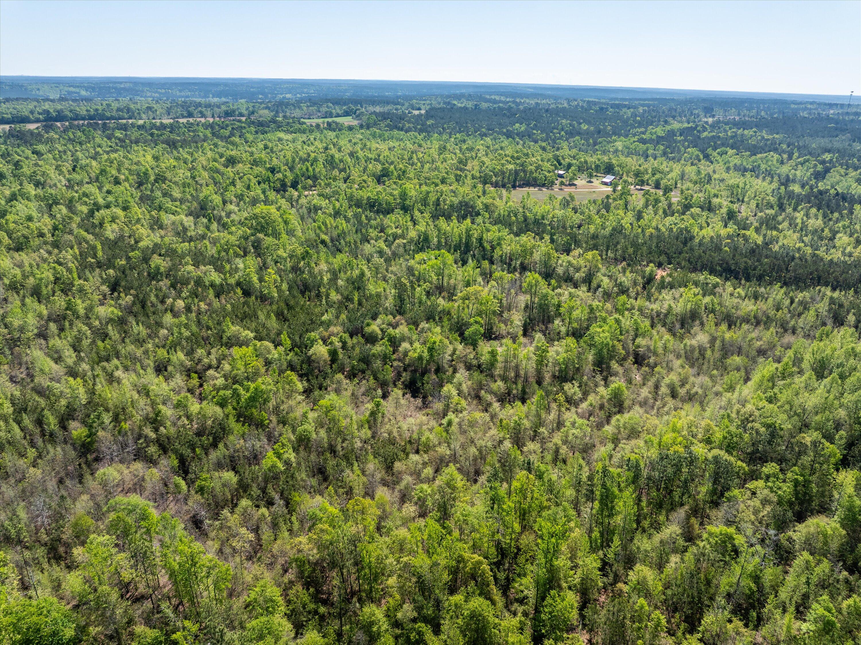 13-DJI_0665-HDR