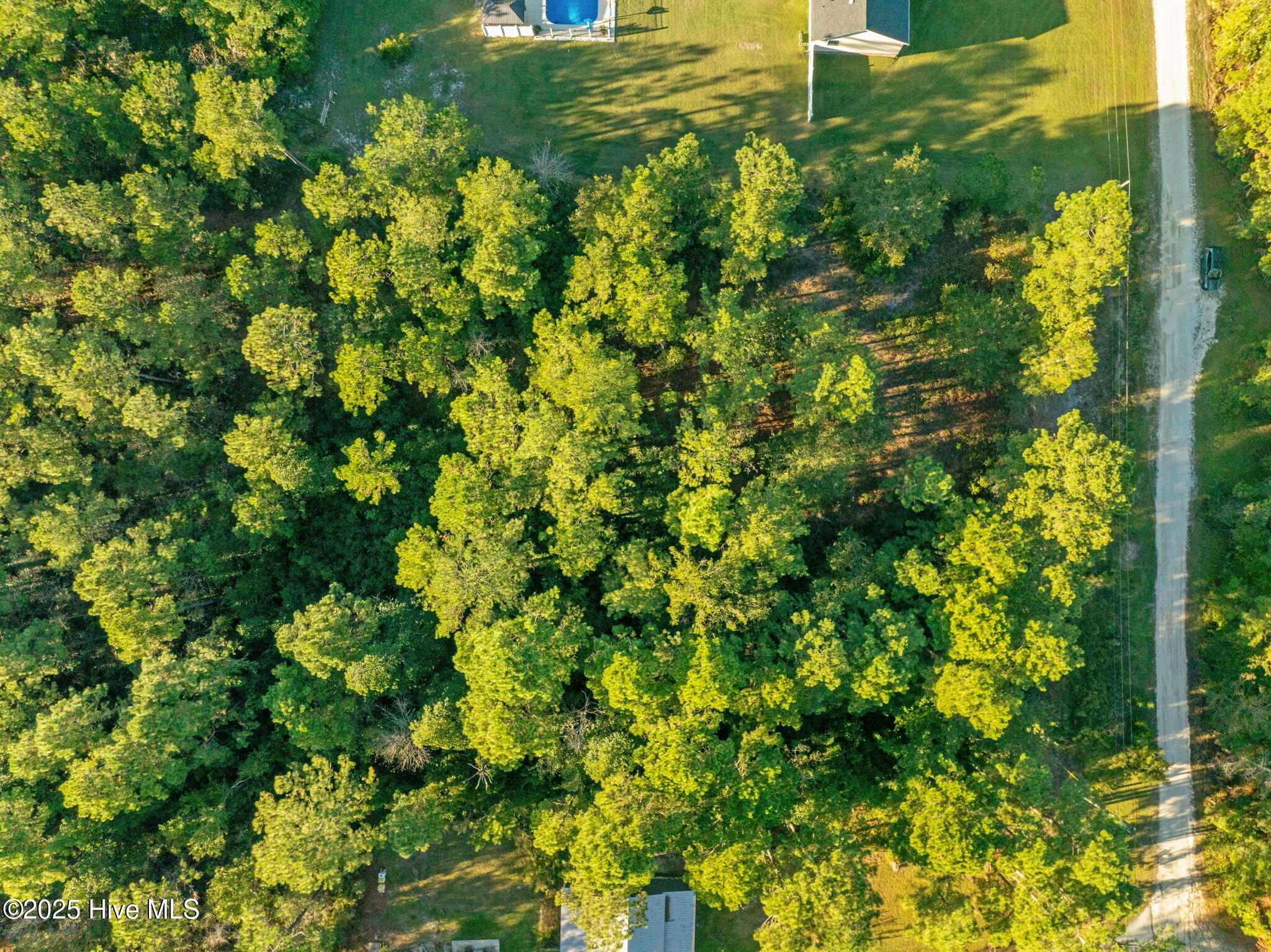 100539156 | Photo 17