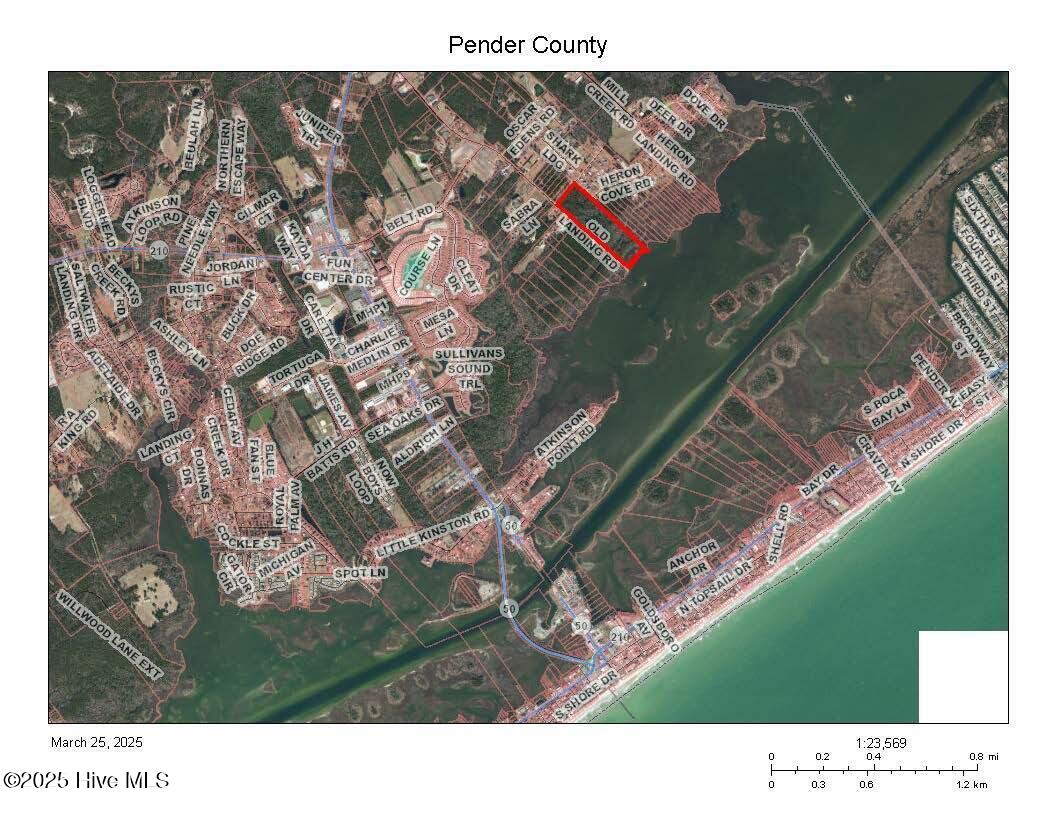 100496968 | Photo 11