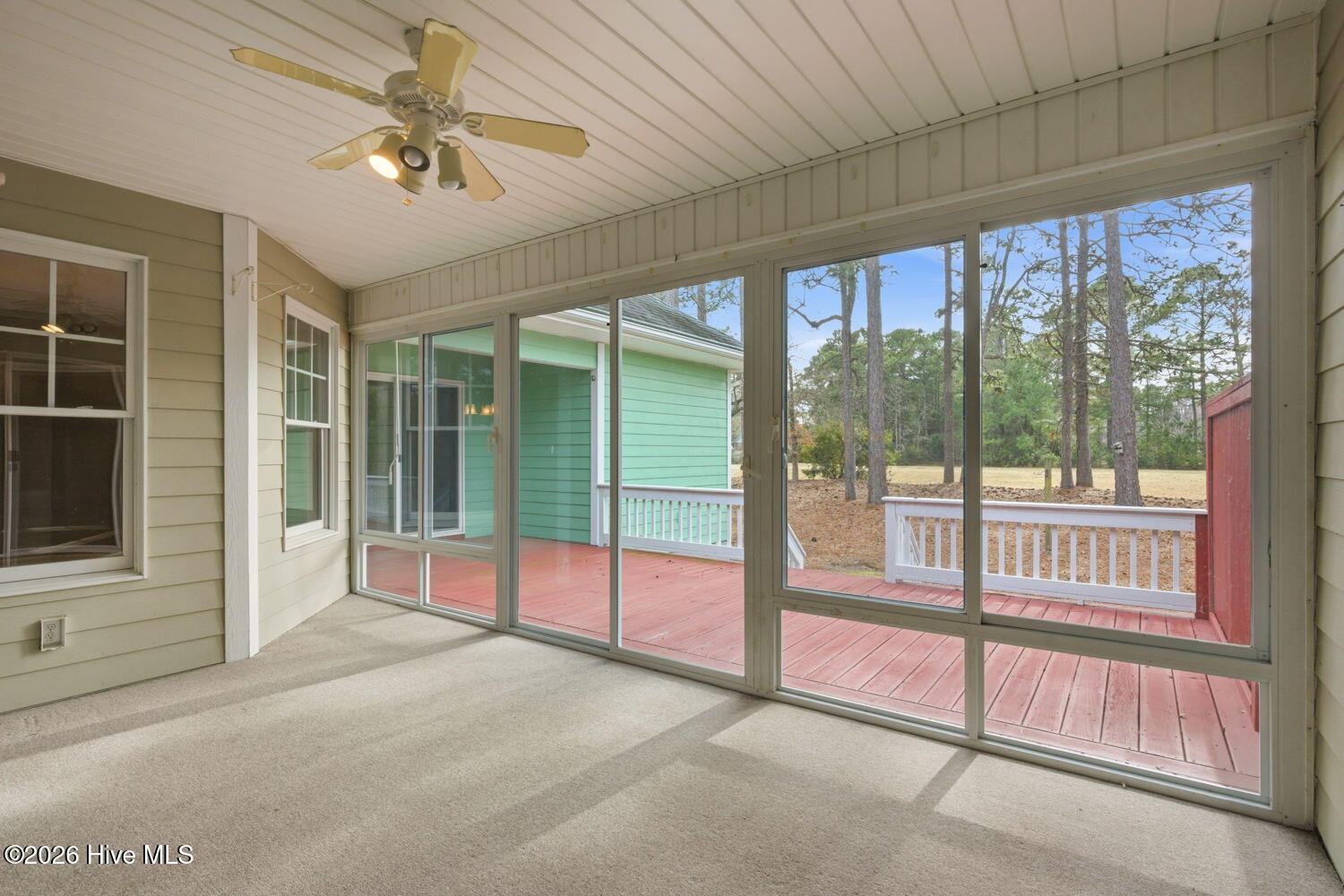 100559475 | Photo 35