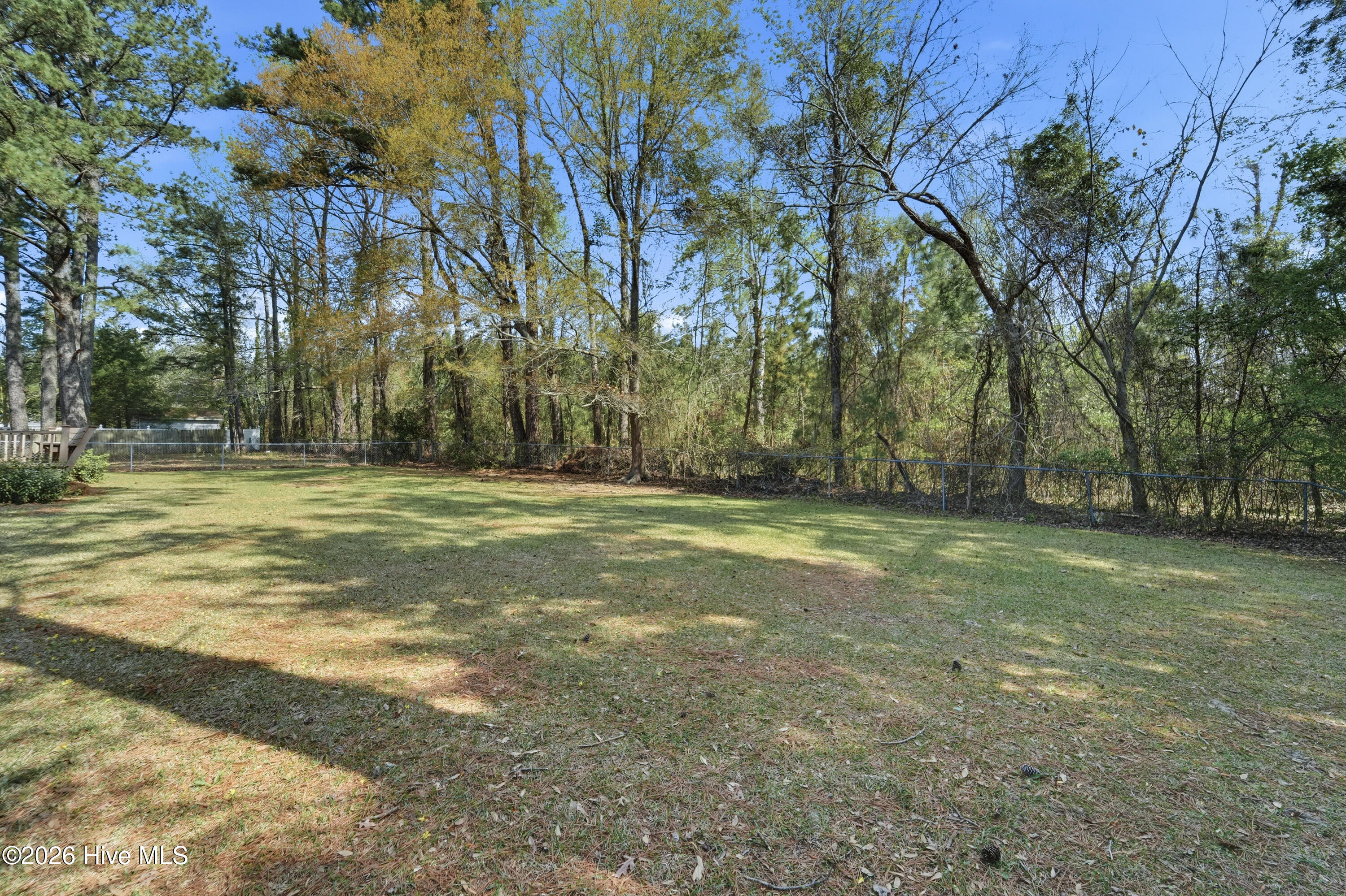 100563491 | Photo 39