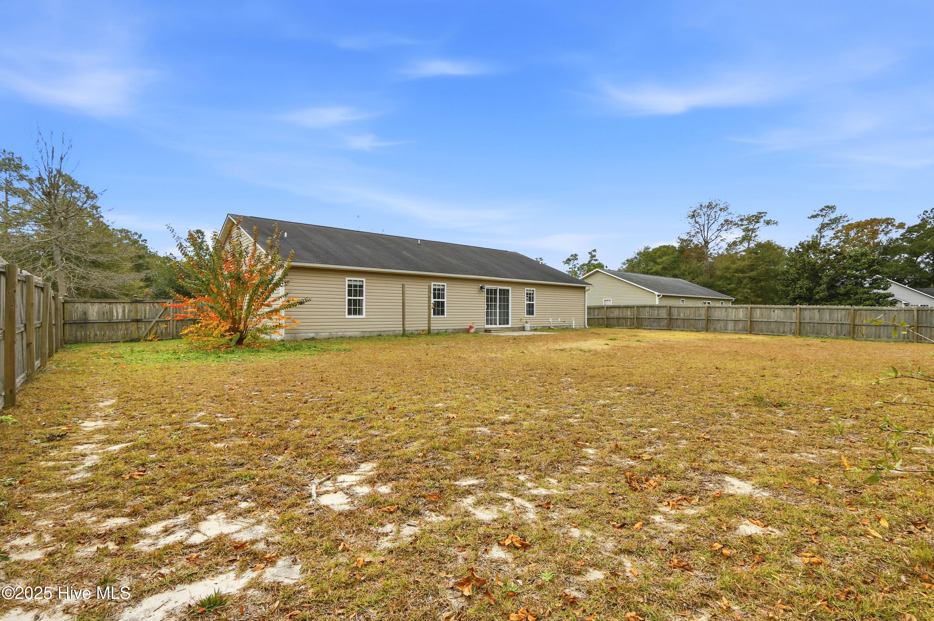 100531186 | Photo 38