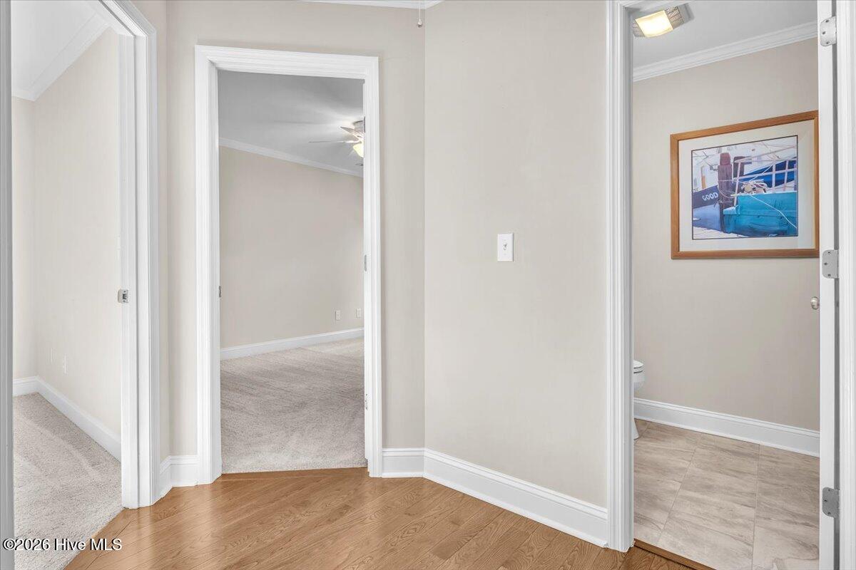 100556413 | Photo 29