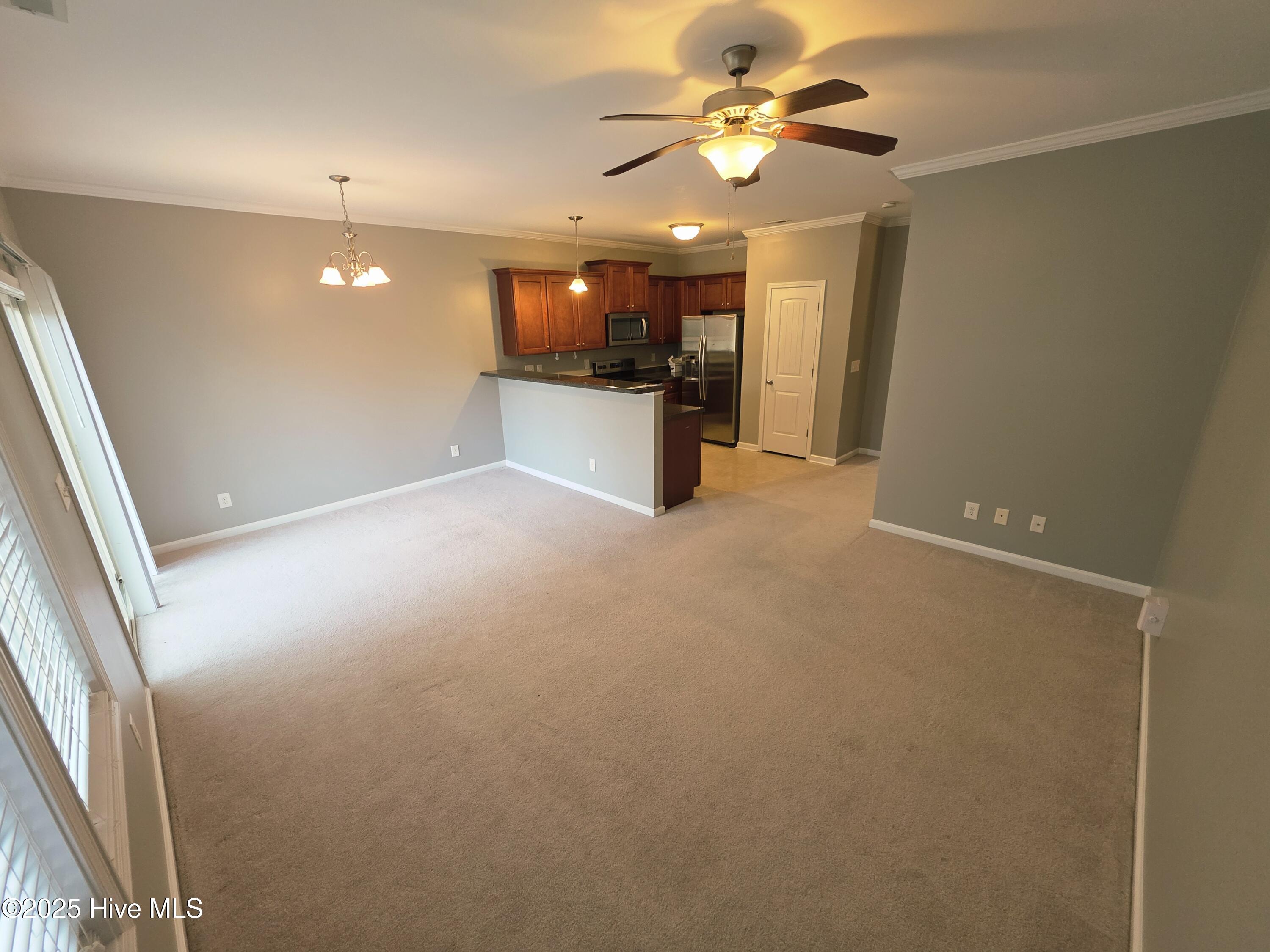 100545738 | Photo 10