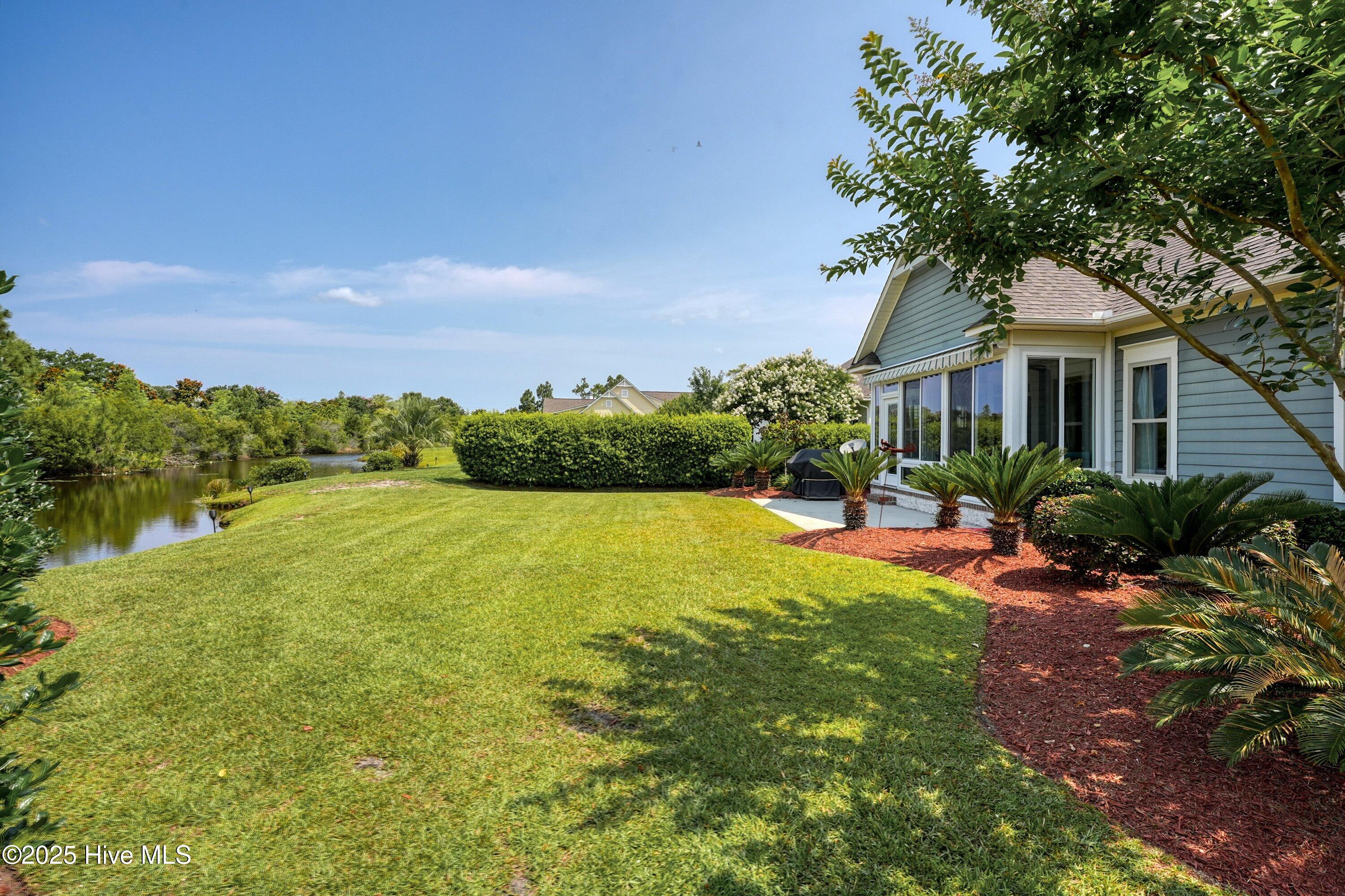 100553143 | Photo 35