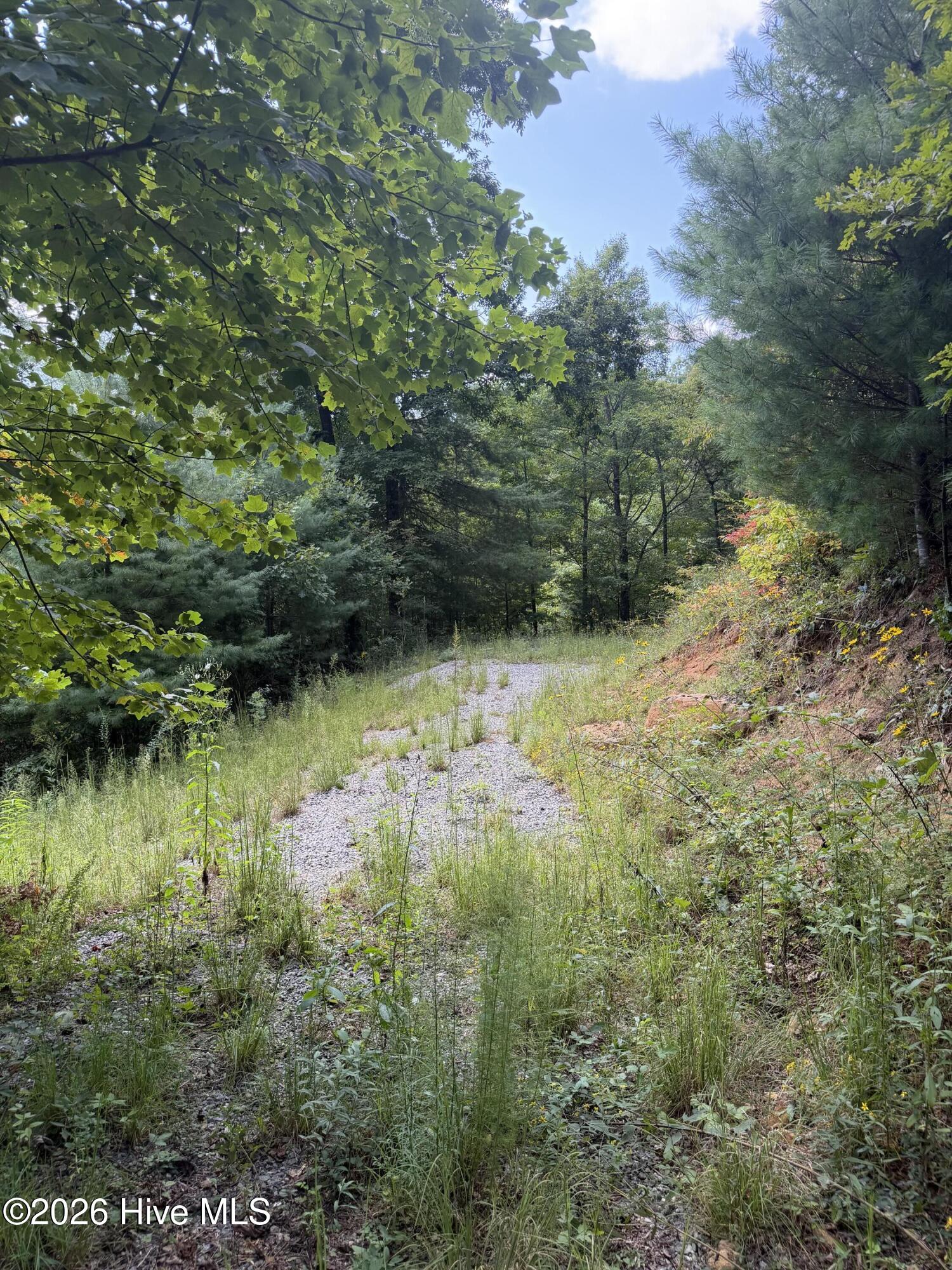 Exterior photo of Lot 77 77 Kudzu Creek Trail Trail, Murphy, NC 28906. MLS: 100602752