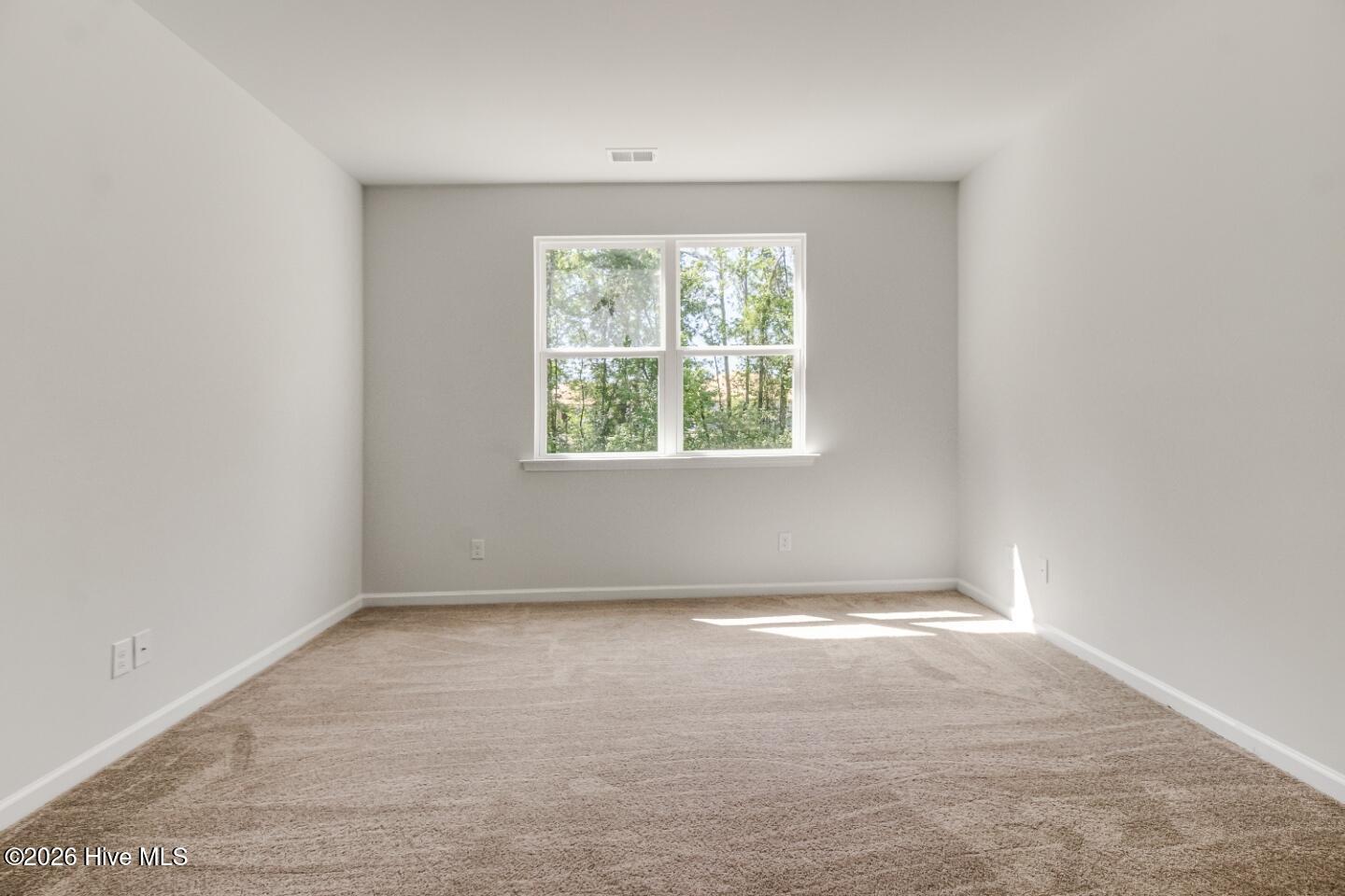 100556795 | Photo 12