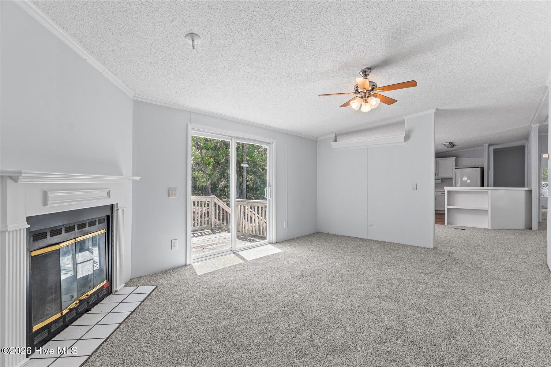 100567568 | Photo 23