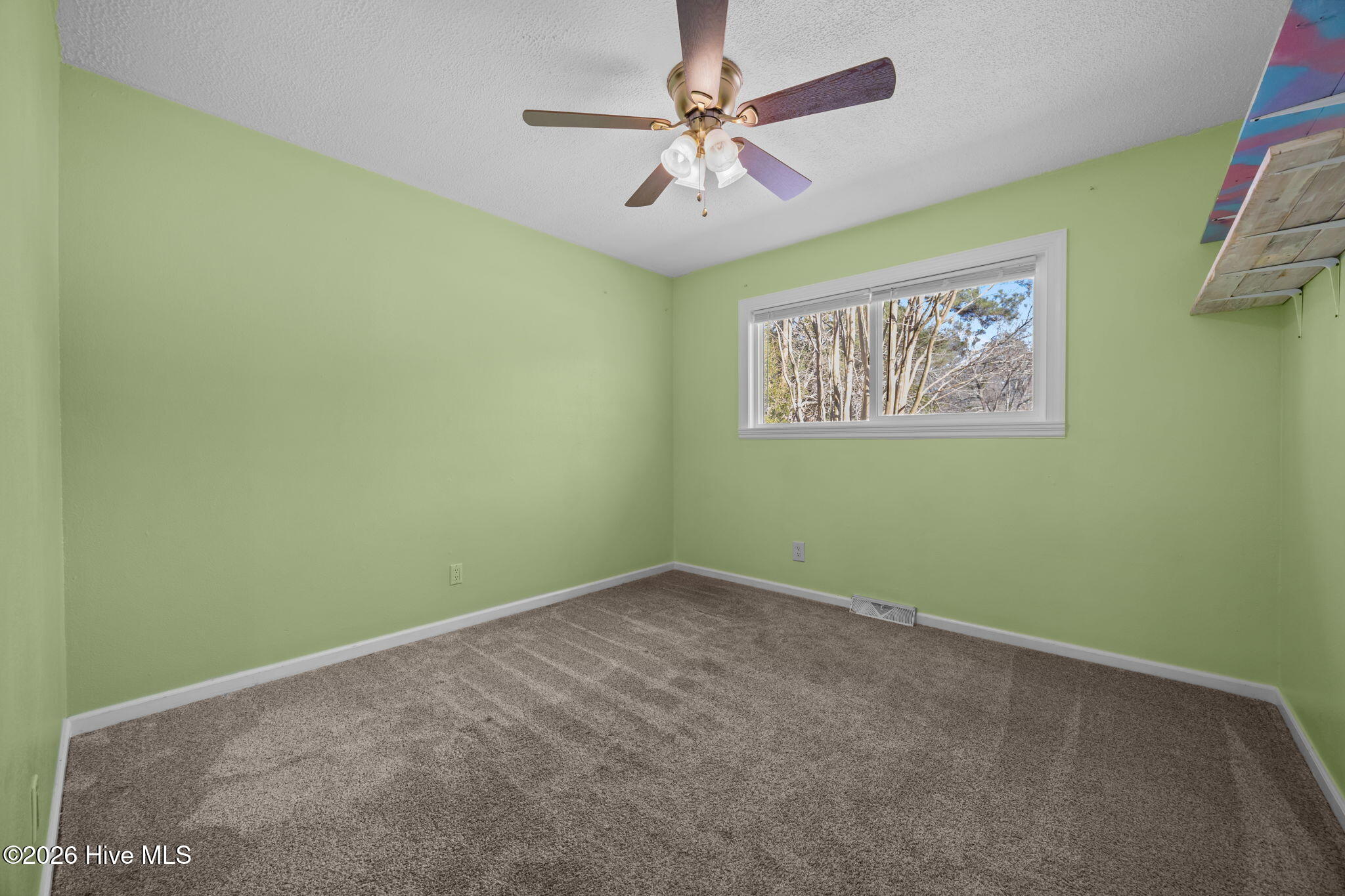 100548233 | Photo 14