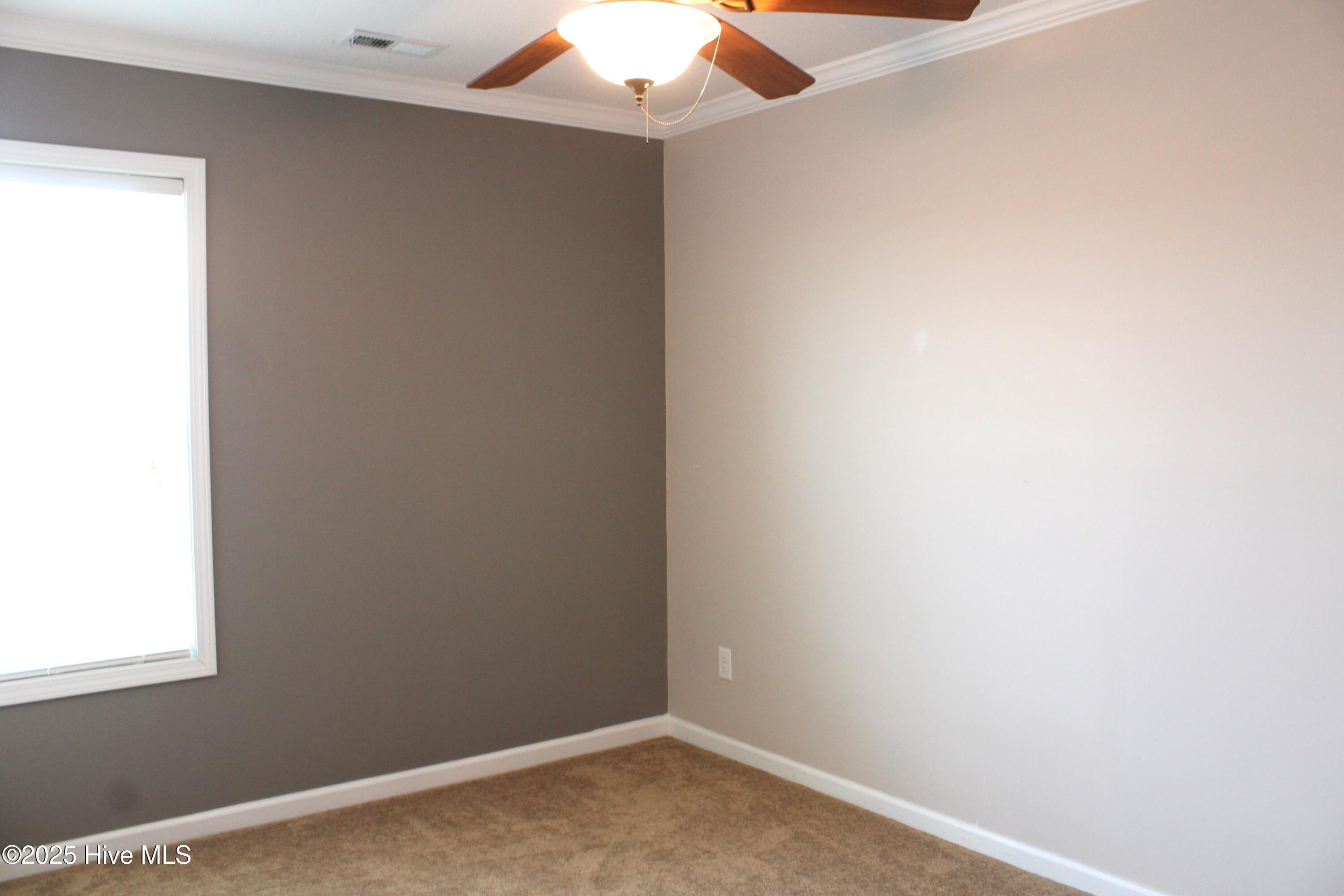 100555059 | Photo 16