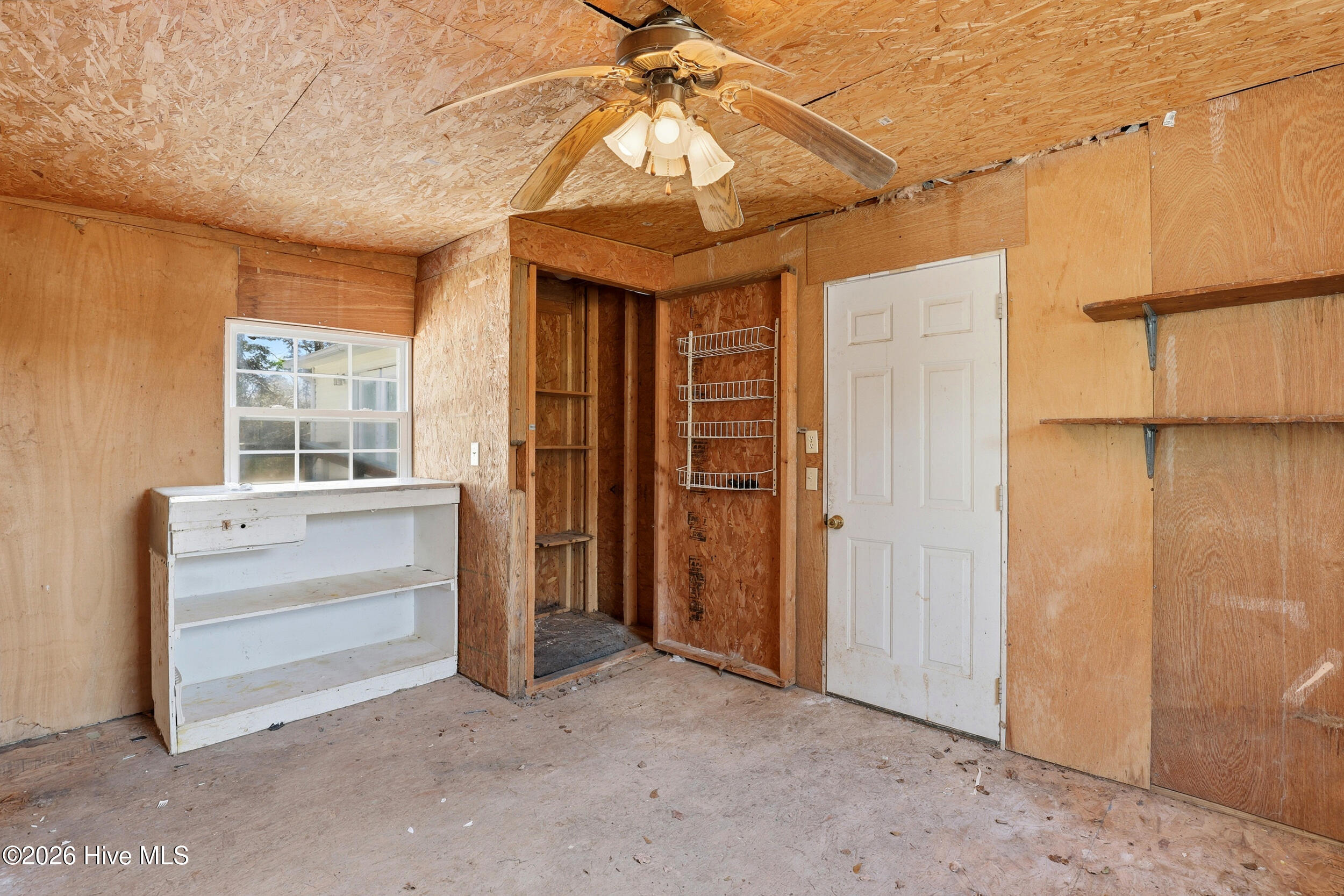 100556681 | Photo 34