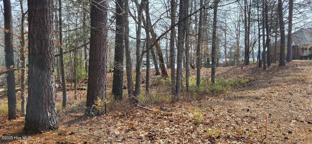 113 S South Fork Court, Hertford, NC, 27944