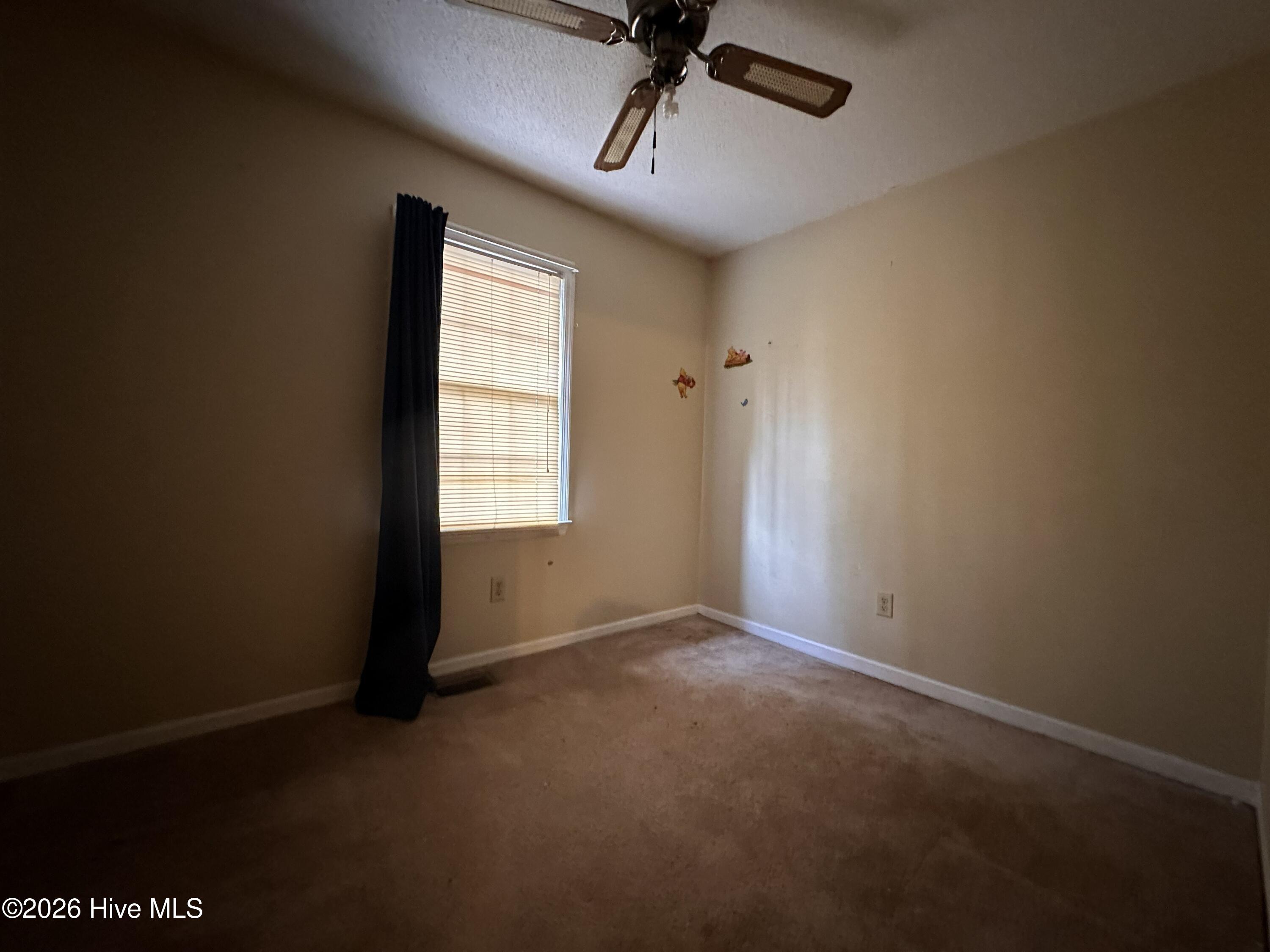 100558994 | Photo 13