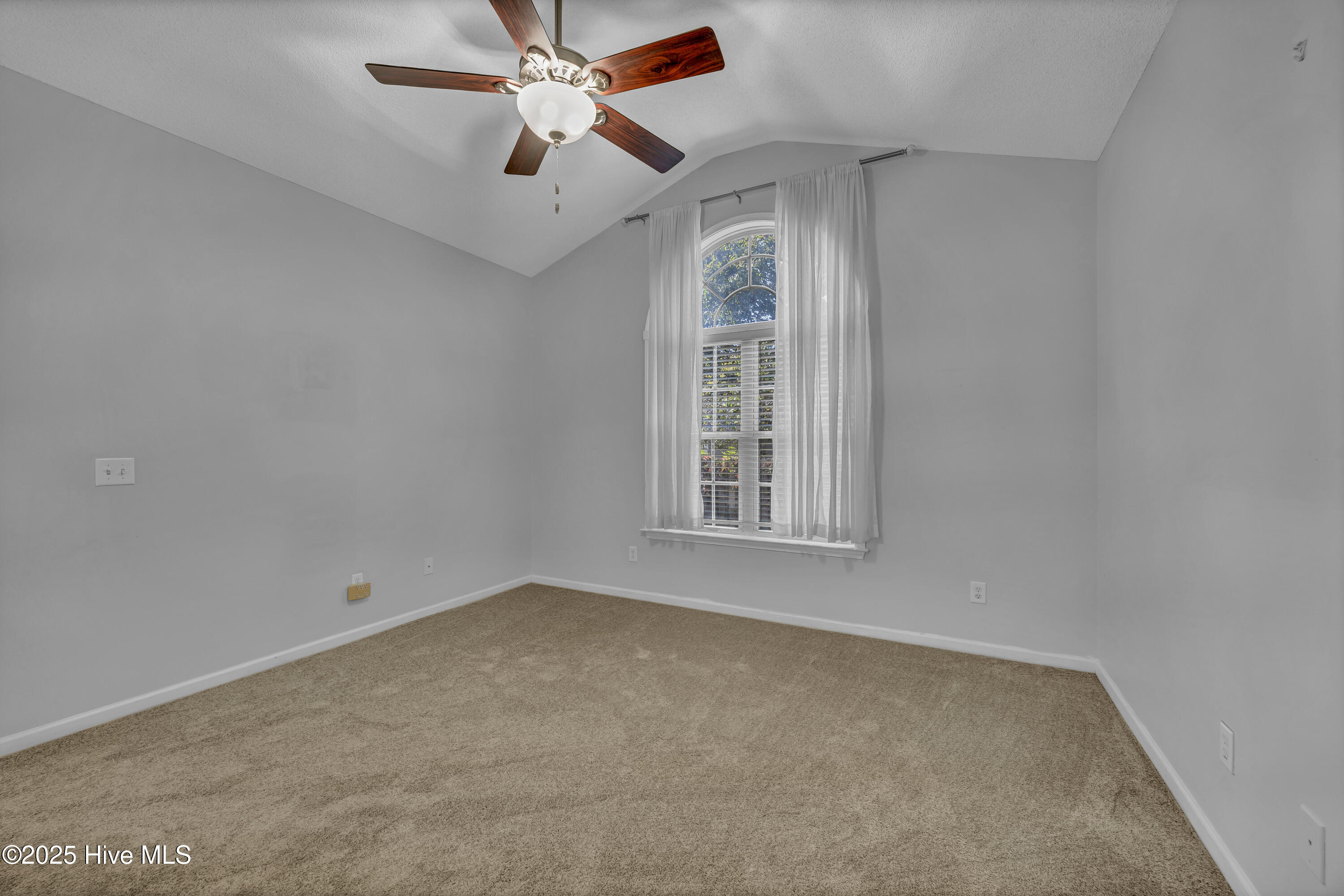 100540259 | Photo 19