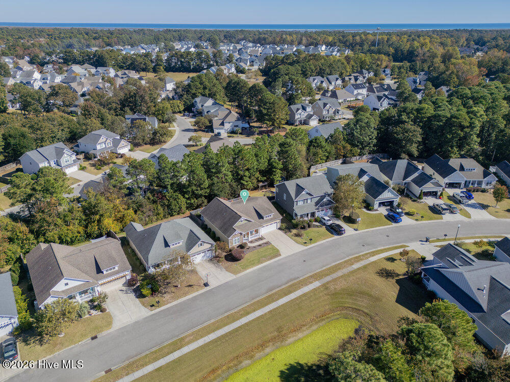 100548835 | Photo 36