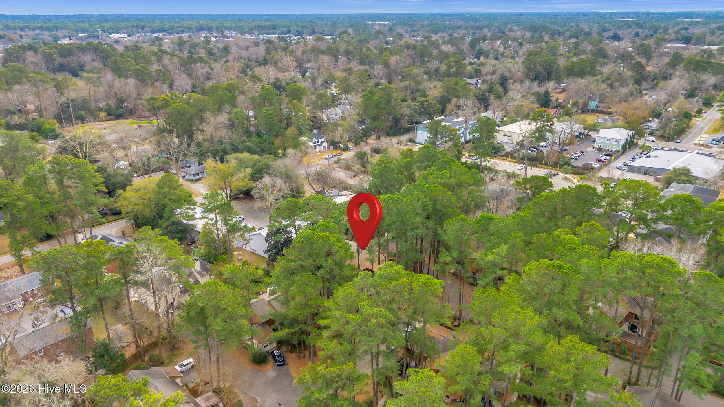 100549409 | Photo 37